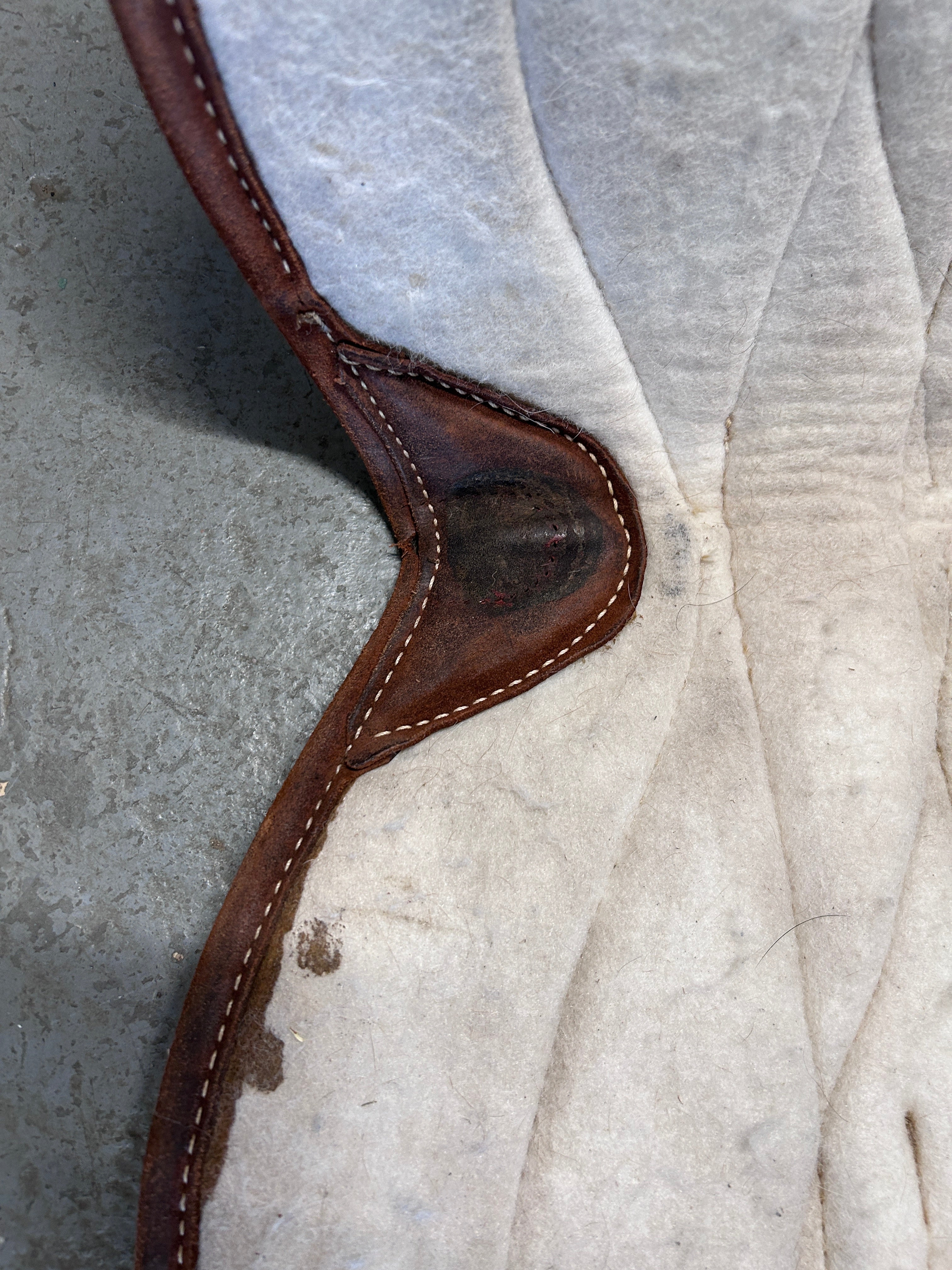 Parelli Bareback Pad-English Tack-Consignment-Evolution Equestrian Co.