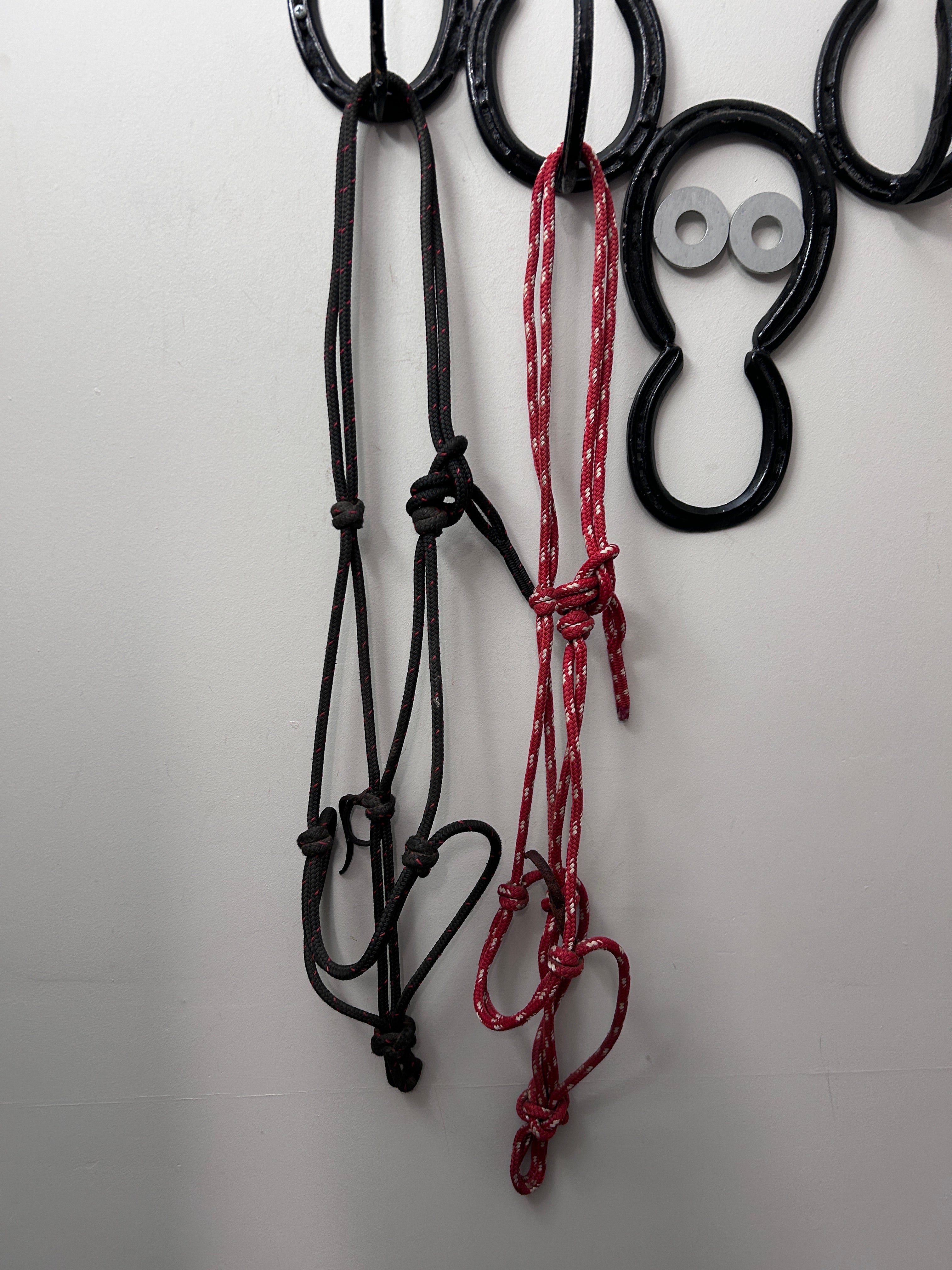 Parelli Rope Halter Cob-Halter-Consignment-Black-Evolution Equestrian Co.