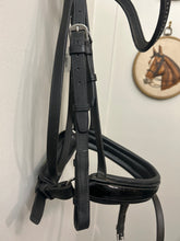 Load image into Gallery viewer, Passier Patent Dressage Bridle-Bridle-Consignment-Evolution Equestrian Co.
