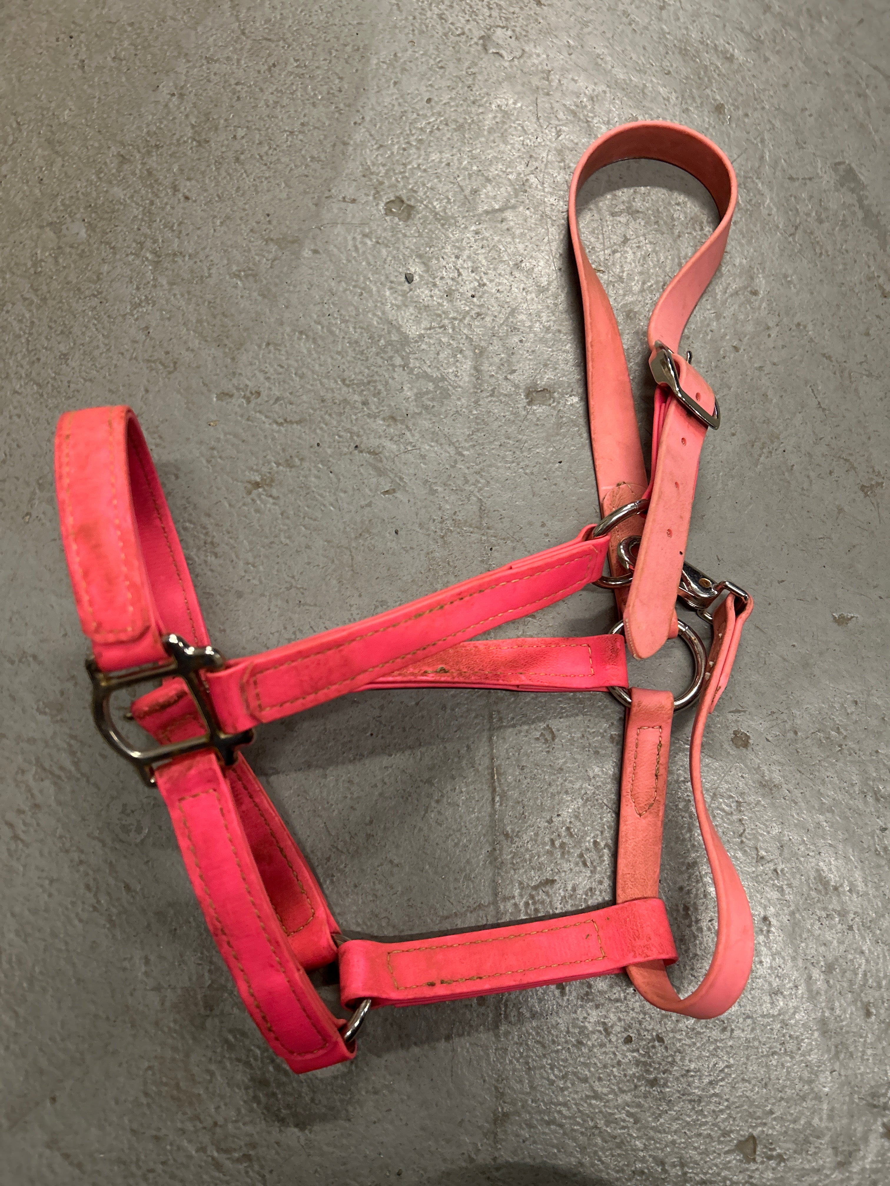 Pink Biothane Halter-Halter-Consignment-Evolution Equestrian Co.