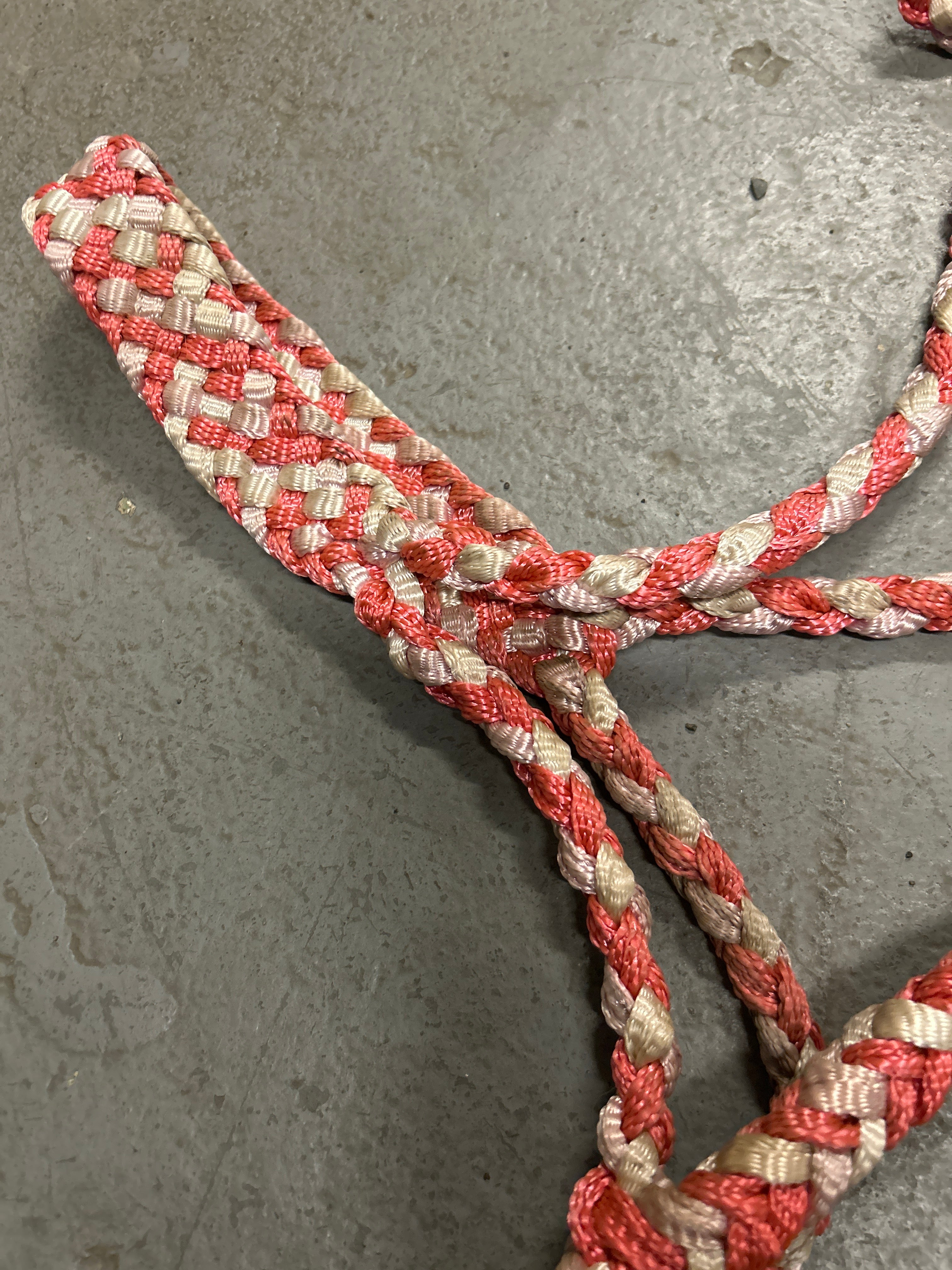 Pink and White Mule Tape Halter with Lead-Halter-Consignment-Evolution Equestrian Co.