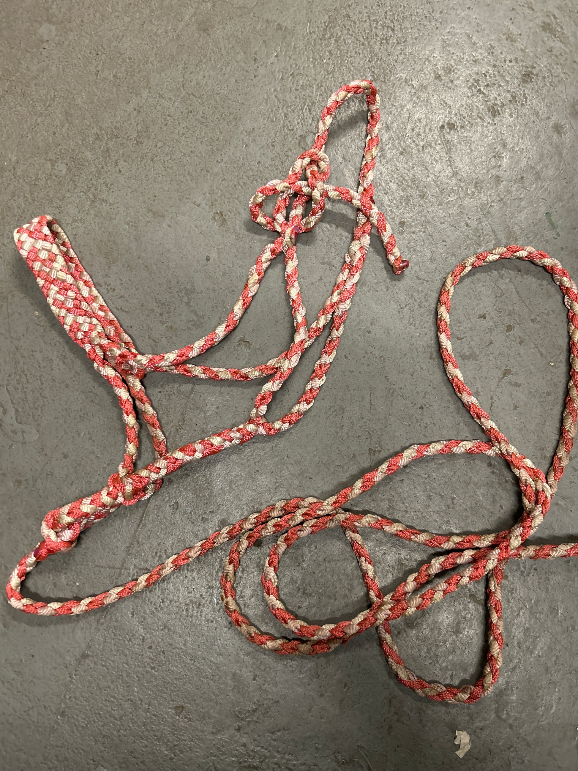 Pink and White Mule Tape Halter with Lead-Halter-Consignment-Evolution Equestrian Co.