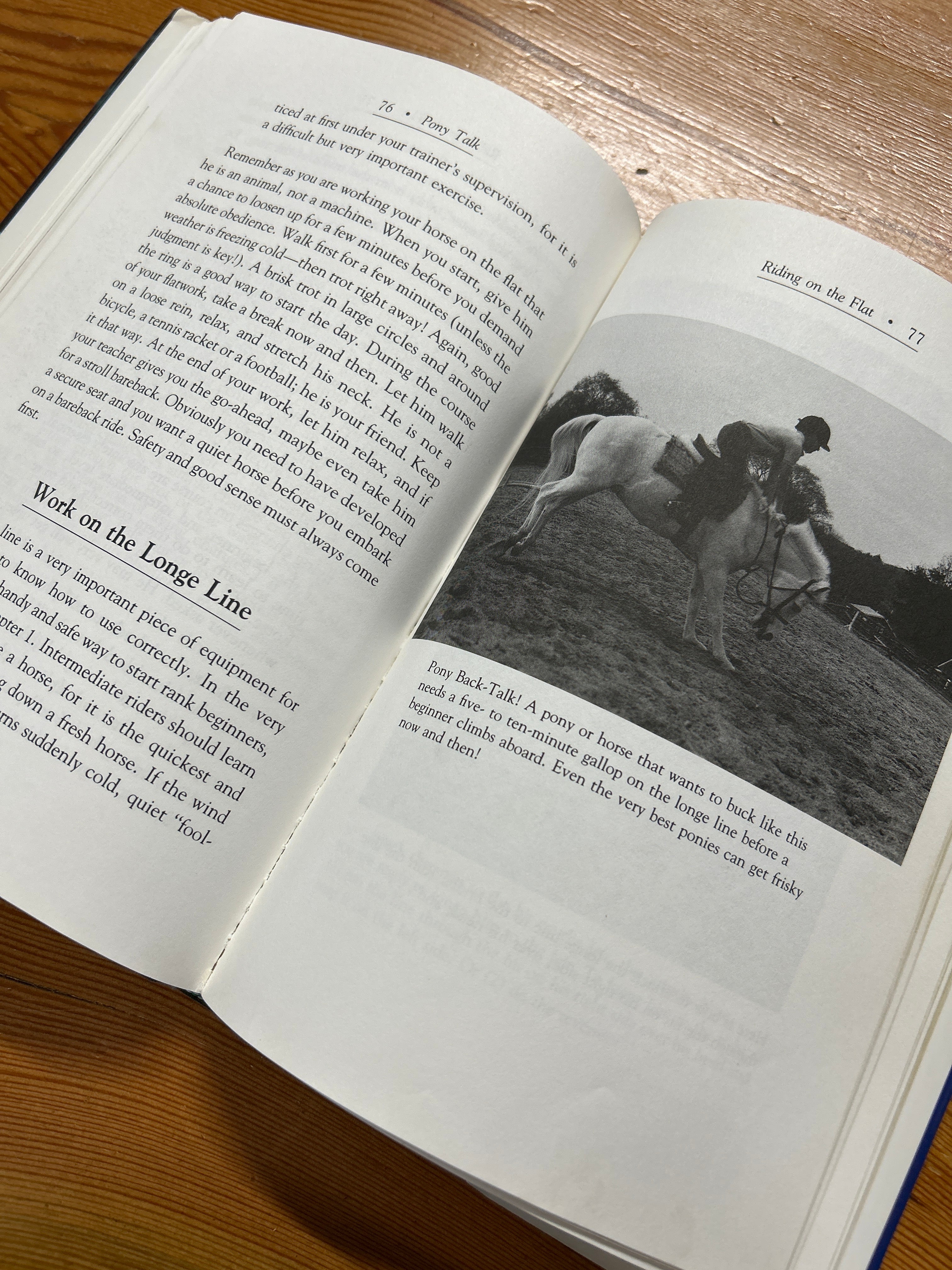Pony Talk by Judy Richter-Books-Consignment-Evolution Equestrian Co.
