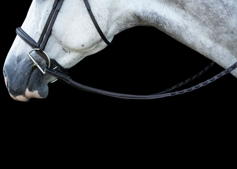 ProSeries Raised Perfect Reins-Reins-Can Pro Equestrian Supply-Evolution Equestrian Co.