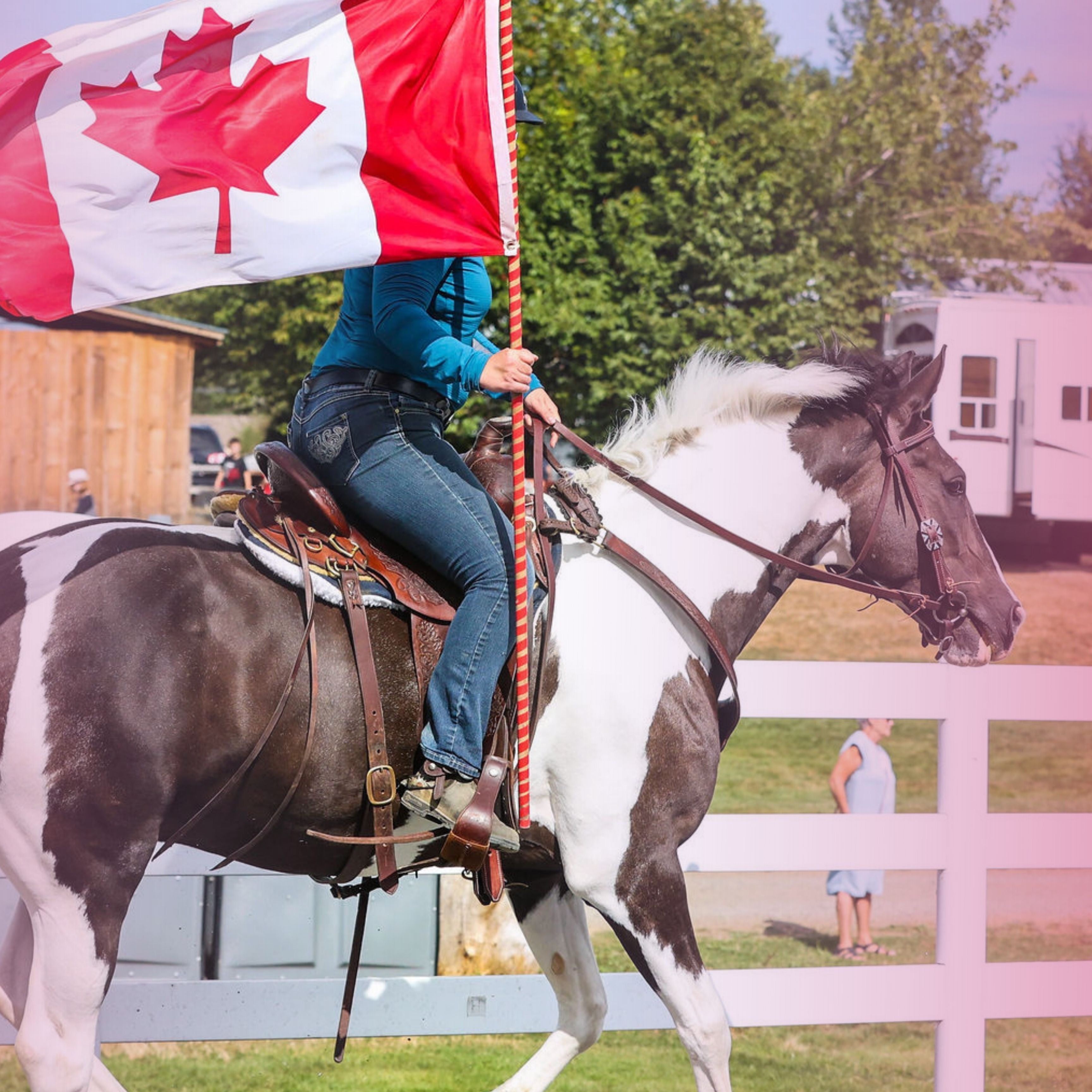 Person riding a horse holding a Canadian flag in an outdoor setting with a blurred background.