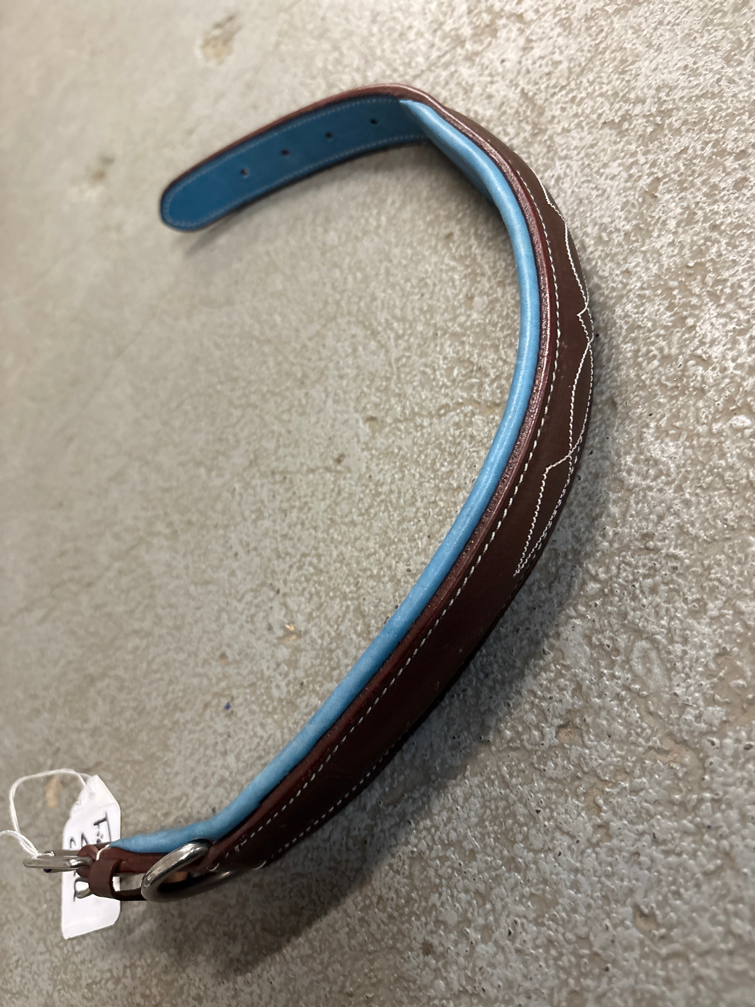Pup and Pony Dog Collar-Dog Products-Consignment-Evolution Equestrian Co.