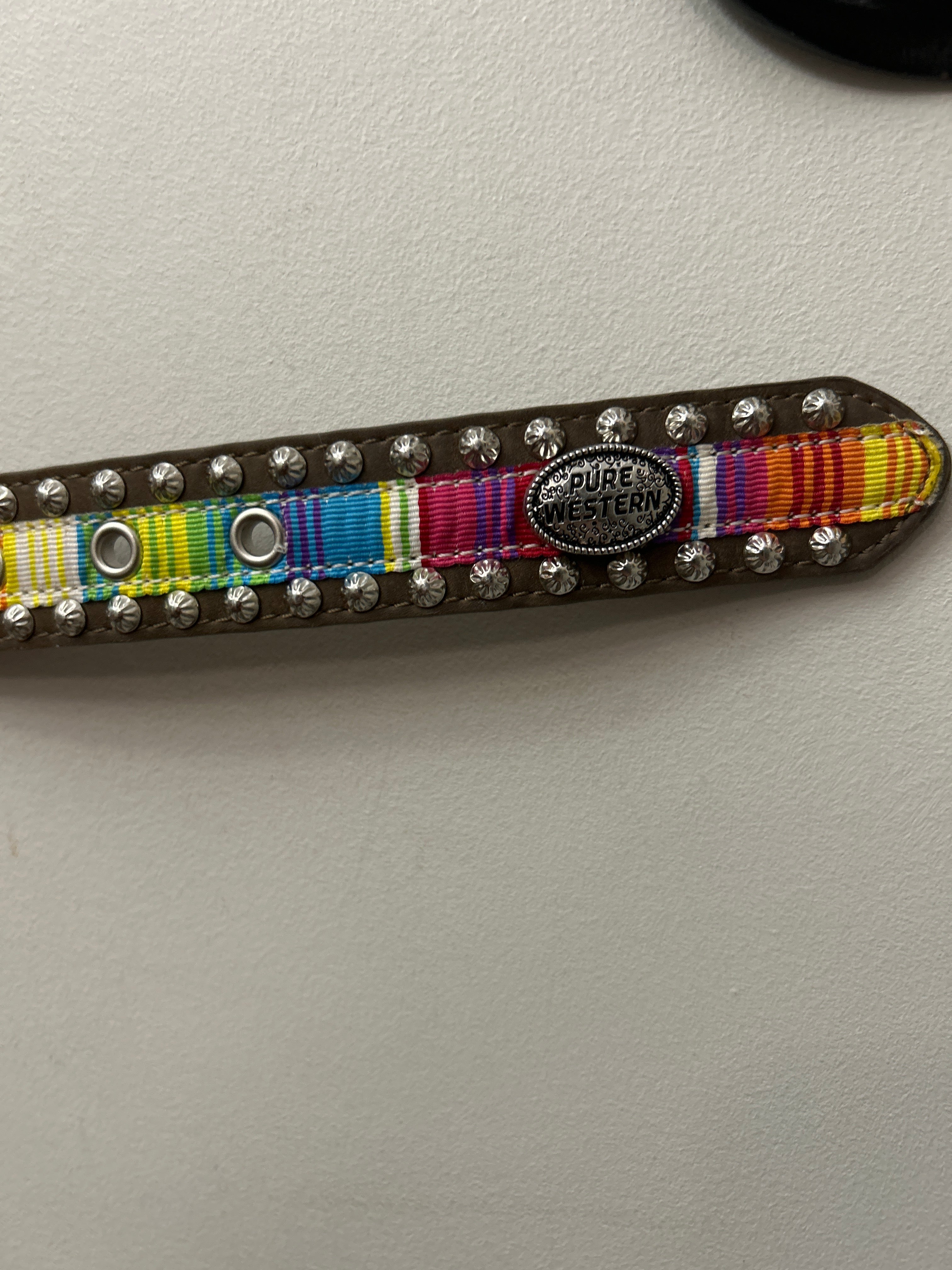 Pure Western Kid's Rainbow Belt 28-Belt-Consignment-Evolution Equestrian Co.