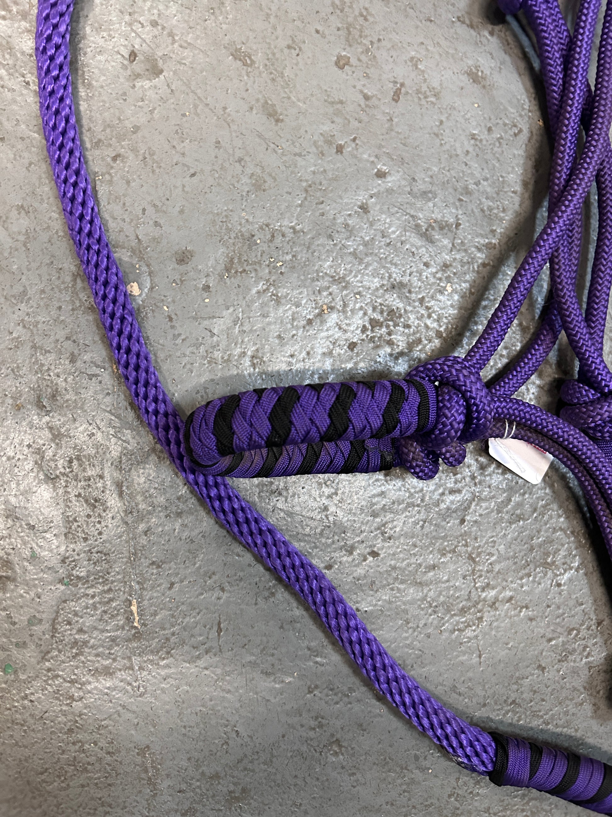 Purple Rope Halter with Lead-Halter-Consignment-Evolution Equestrian Co.