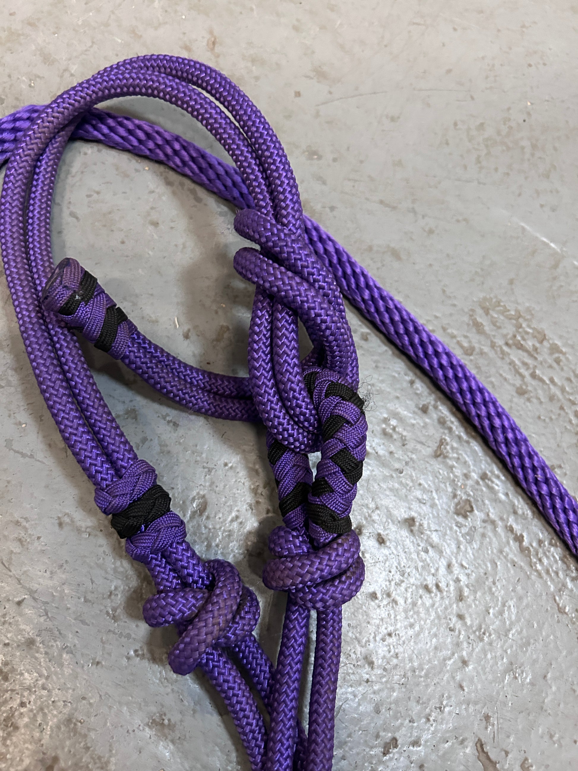 Purple Rope Halter with Lead-Halter-Consignment-Evolution Equestrian Co.