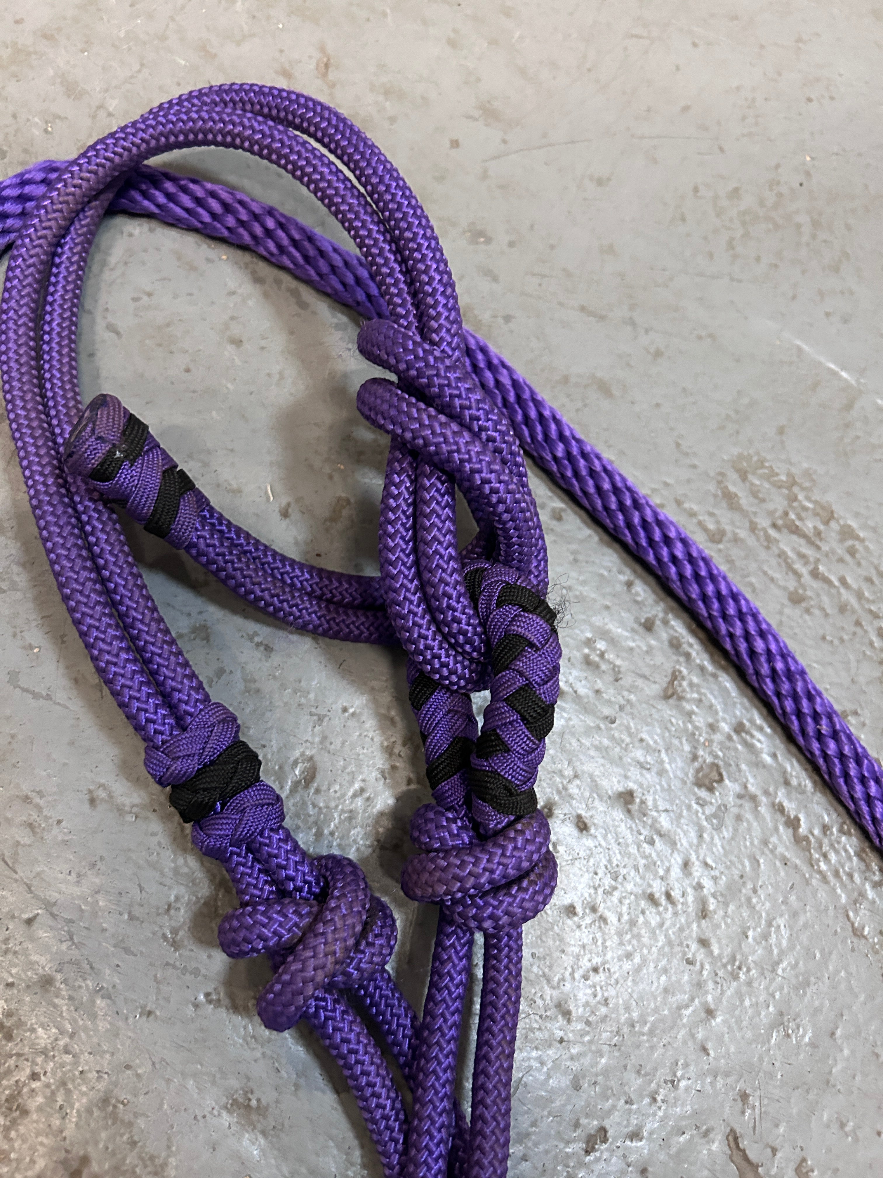 Purple Rope Halter with Lead-Halter-Consignment-Evolution Equestrian Co.