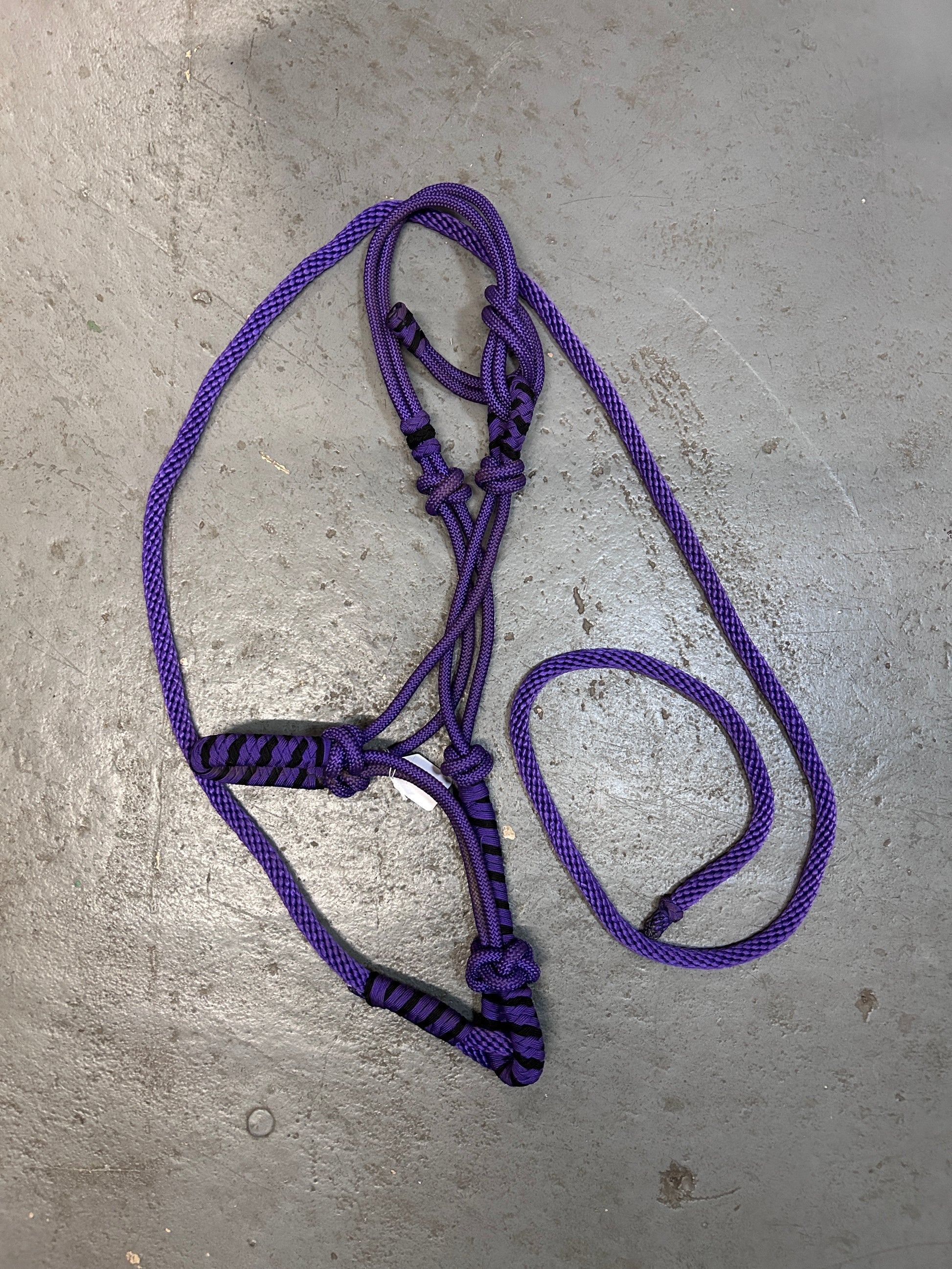 Purple Rope Halter with Lead-Halter-Consignment-Evolution Equestrian Co.