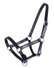 QHP Chico Foal Leather Halter-Halter-Can Pro Equestrian Supply-Mini-Evolution Equestrian Co.