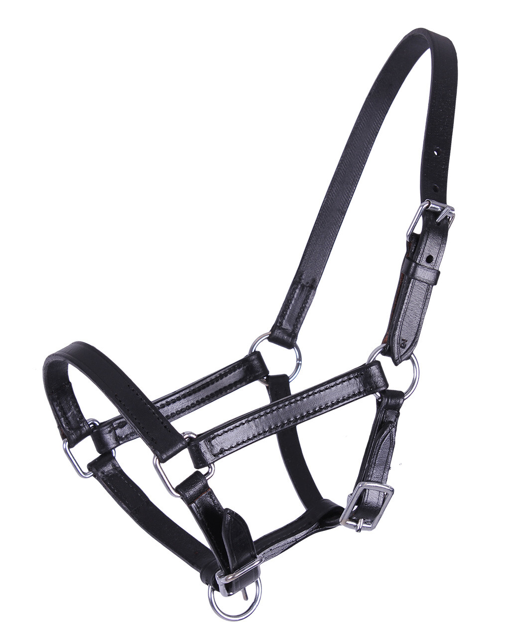 QHP Chico Foal Leather Halter-Halter-Can Pro Equestrian Supply-Mini-Evolution Equestrian Co.