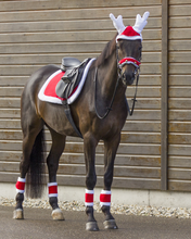 Load image into Gallery viewer, QHP Christmas Bells-Christmas-Can Pro Equestrian Supply-Evolution Equestrian Co.
