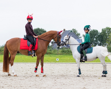 Load image into Gallery viewer, QHP Christmas Boot Socks – Elf/Rudolph 2-Pack-Socks-Can Pro Equestrian Supply-EU 35-38-Evolution Equestrian Co.
