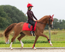 Load image into Gallery viewer, QHP Christmas Boot Socks – Elf/Rudolph 2-Pack-Socks-Can Pro Equestrian Supply-EU 35-38-Evolution Equestrian Co.
