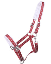 Load image into Gallery viewer, QHP Christmas Rudolph Halter-Halter-Can Pro Equestrian Supply-Cob-Evolution Equestrian Co.
