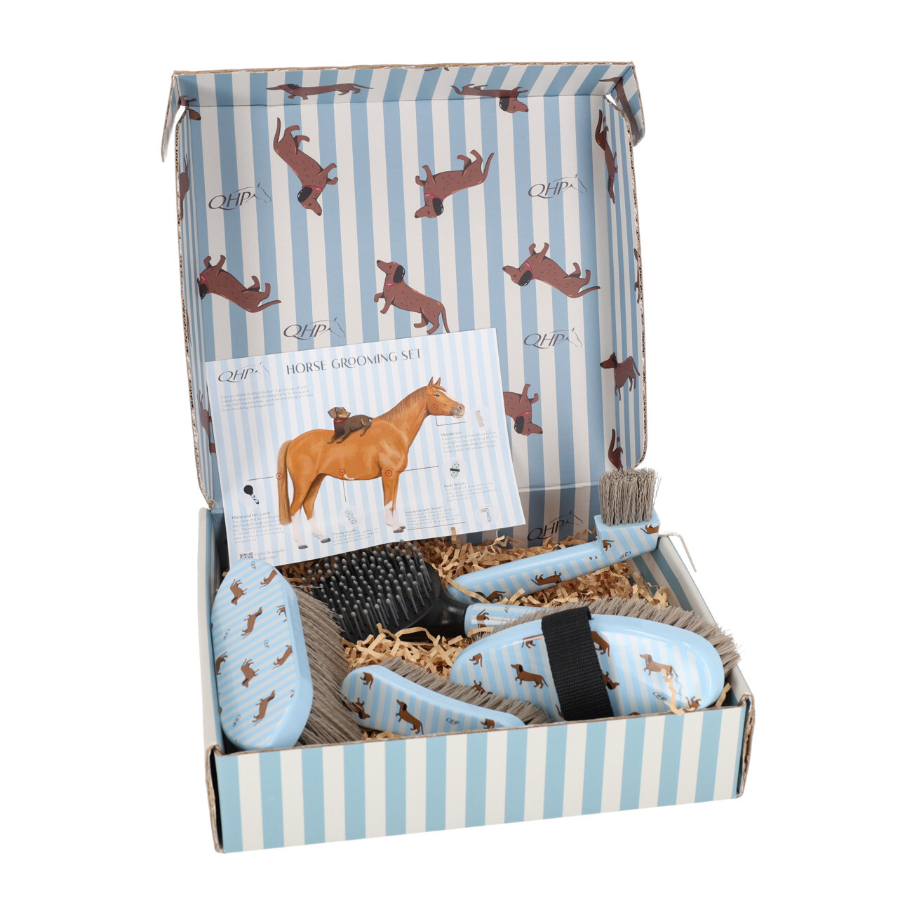 QHP Stable Buddy Dachshund Grooming Set-Horse Brush-Can Pro Equestrian Supply-Evolution Equestrian Co.