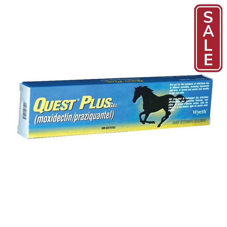 Quest Plus DeWormer-Horse Care-Canadian Centurion Supply-Evolution Equestrian Co.
