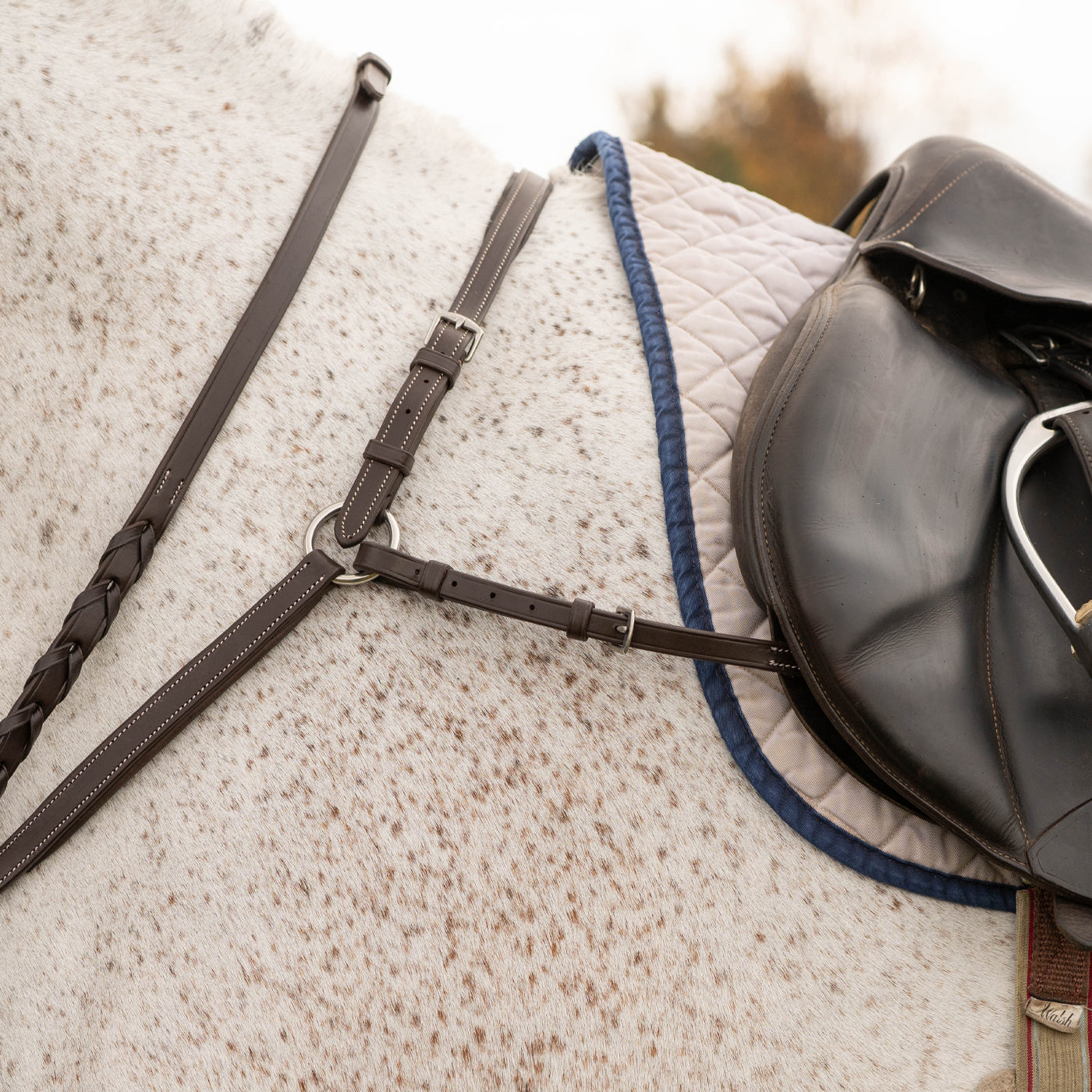 Mondega 3 Point Breastplate Full-English Tack-Consignment-Evolution Equestrian Co.
