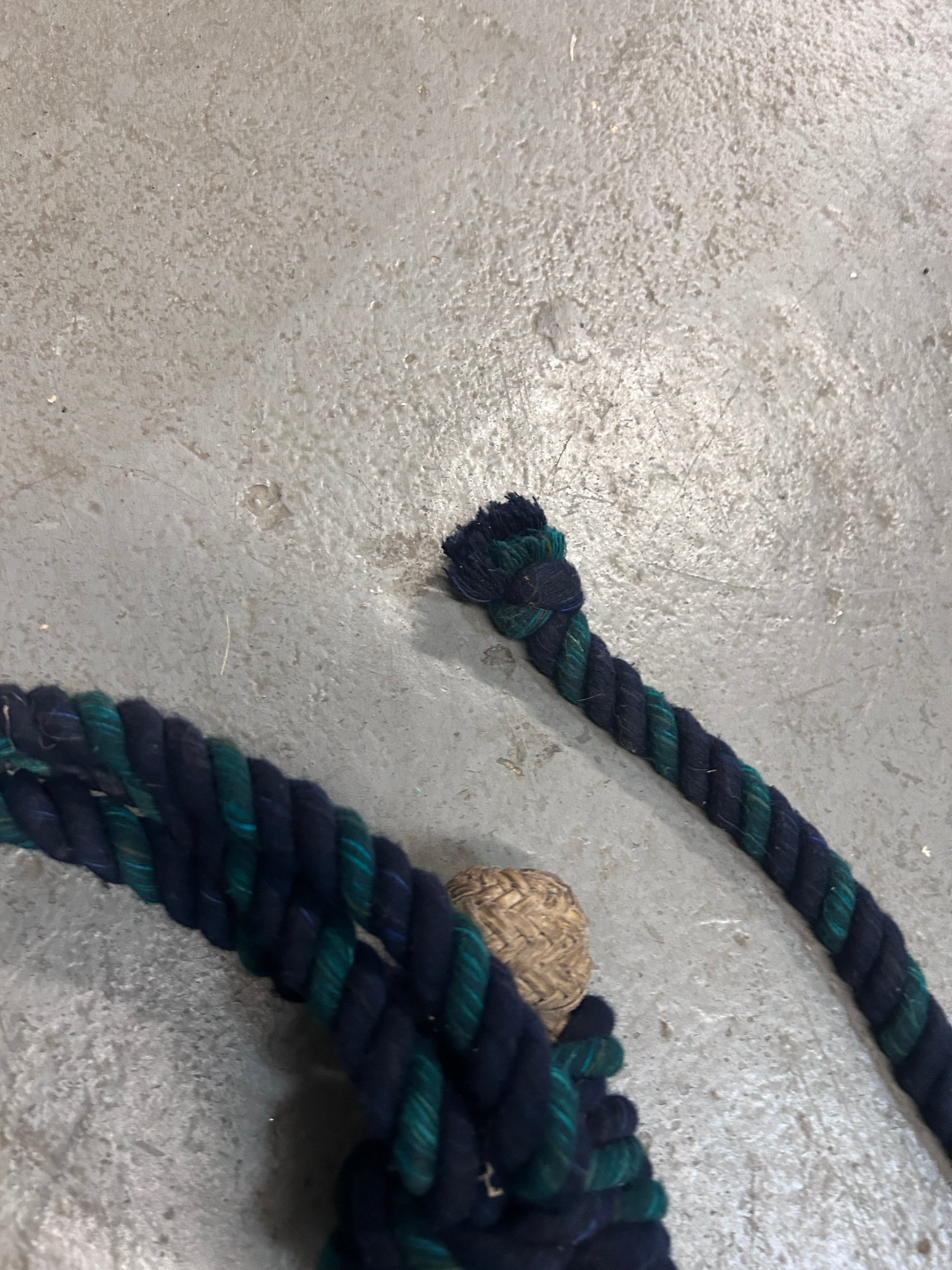 Rawhide Bosal with Blue and Green Rope Reins-Bitless Bridle-Consignment-Evolution Equestrian Co.
