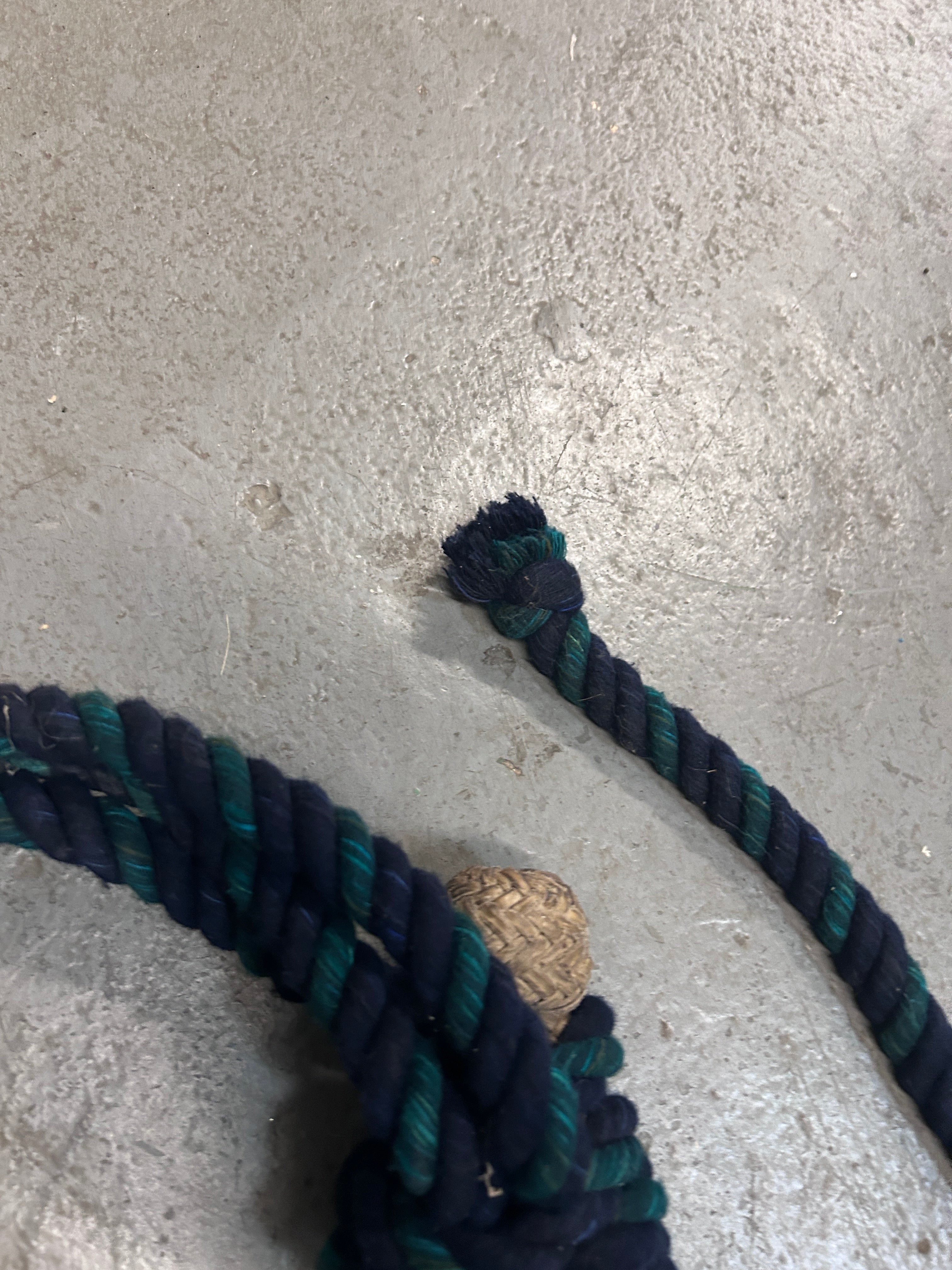 Rawhide Bosal with Blue and Green Rope Reins-Bitless Bridle-Consignment-Evolution Equestrian Co.