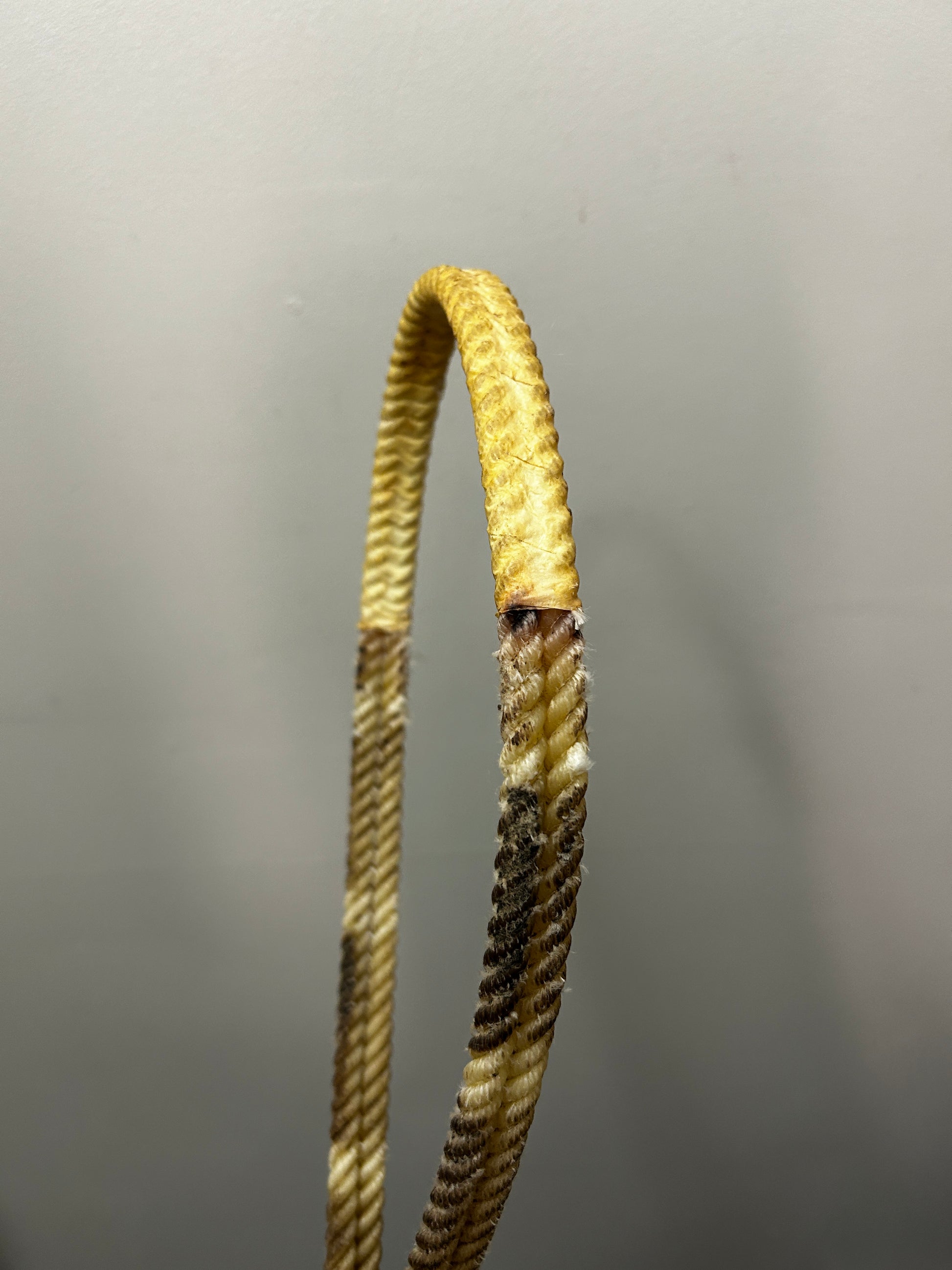 Rawhide Noseband Tiedown-Western Tack-Consignment-Evolution Equestrian Co.