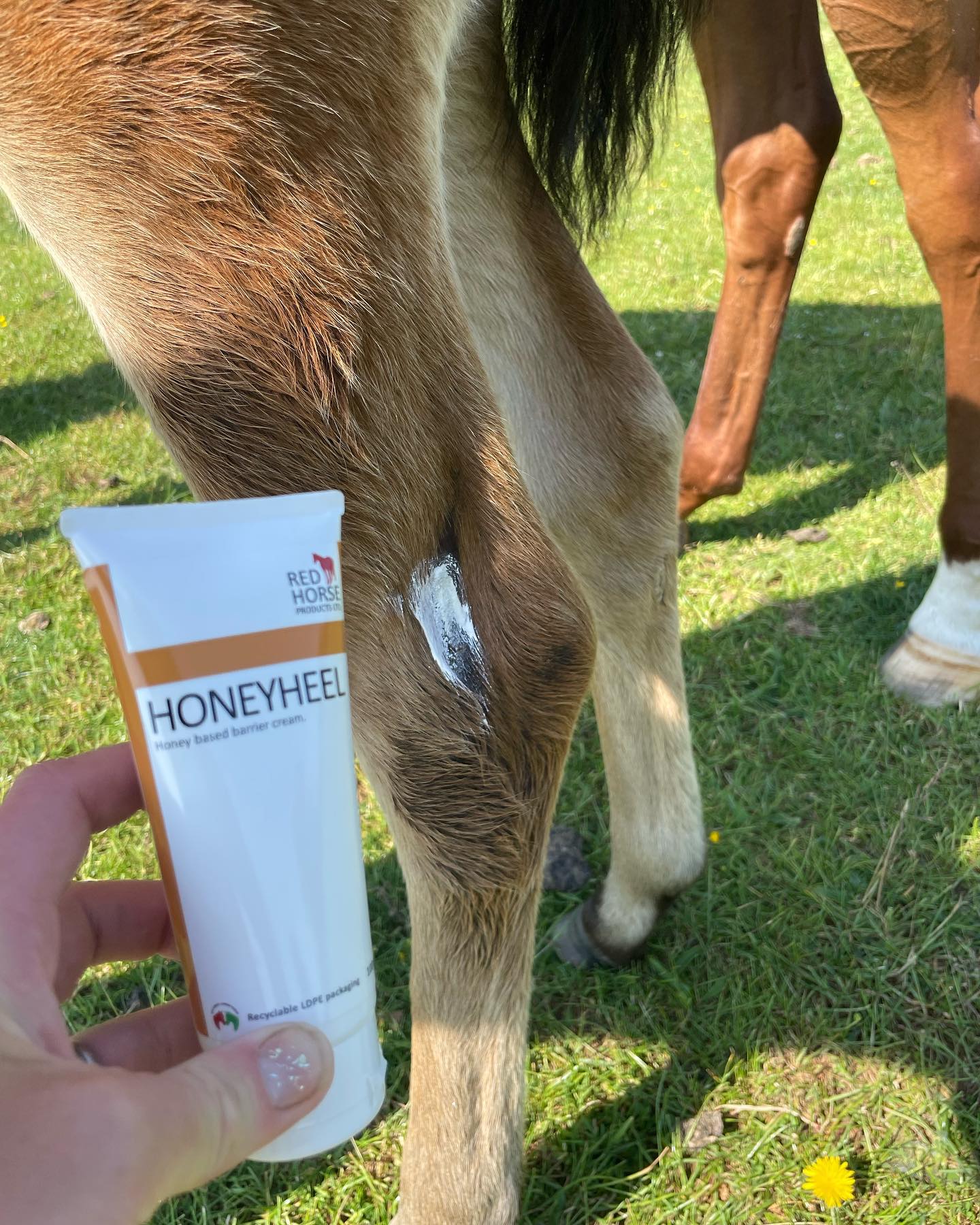 Red Horse Honey Heel Cream-Horse Care-Red Horse Products - UK-Evolution Equestrian Co.