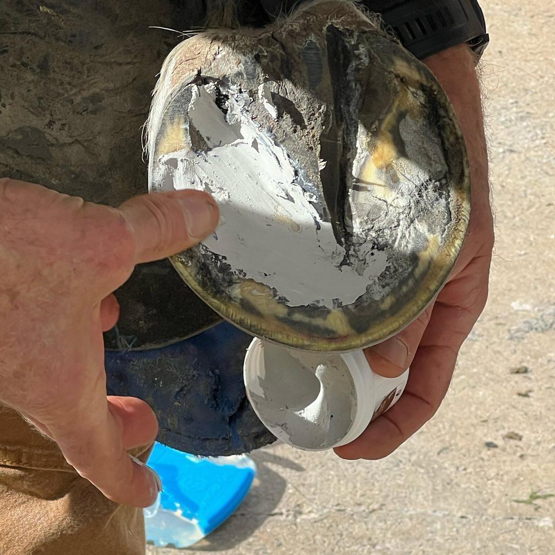 Red Horse Products Artimud-Horse Care-Red Horse Products - UK-300g-Evolution Equestrian Co.