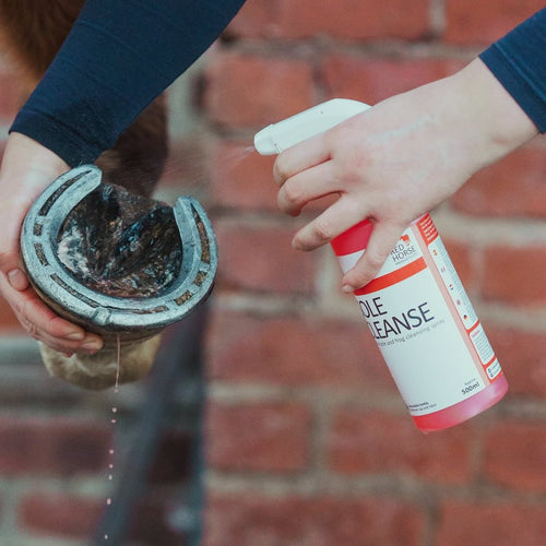 Red Horse Products Sole Cleanse-Horse Care-Red Horse Products - UK-Evolution Equestrian Co.