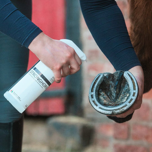 Red Horse Products Stronghorn-Horse Care-Red Horse Products - UK-Evolution Equestrian Co.