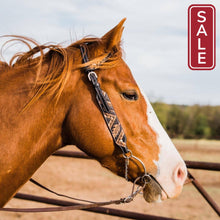 Load image into Gallery viewer, Rodeo Drive - Two Tone Feather &amp; Arrow Studded One Ear Headstall-Western Headstall-Rodeo Drive-Evolution Equestrian Co.
