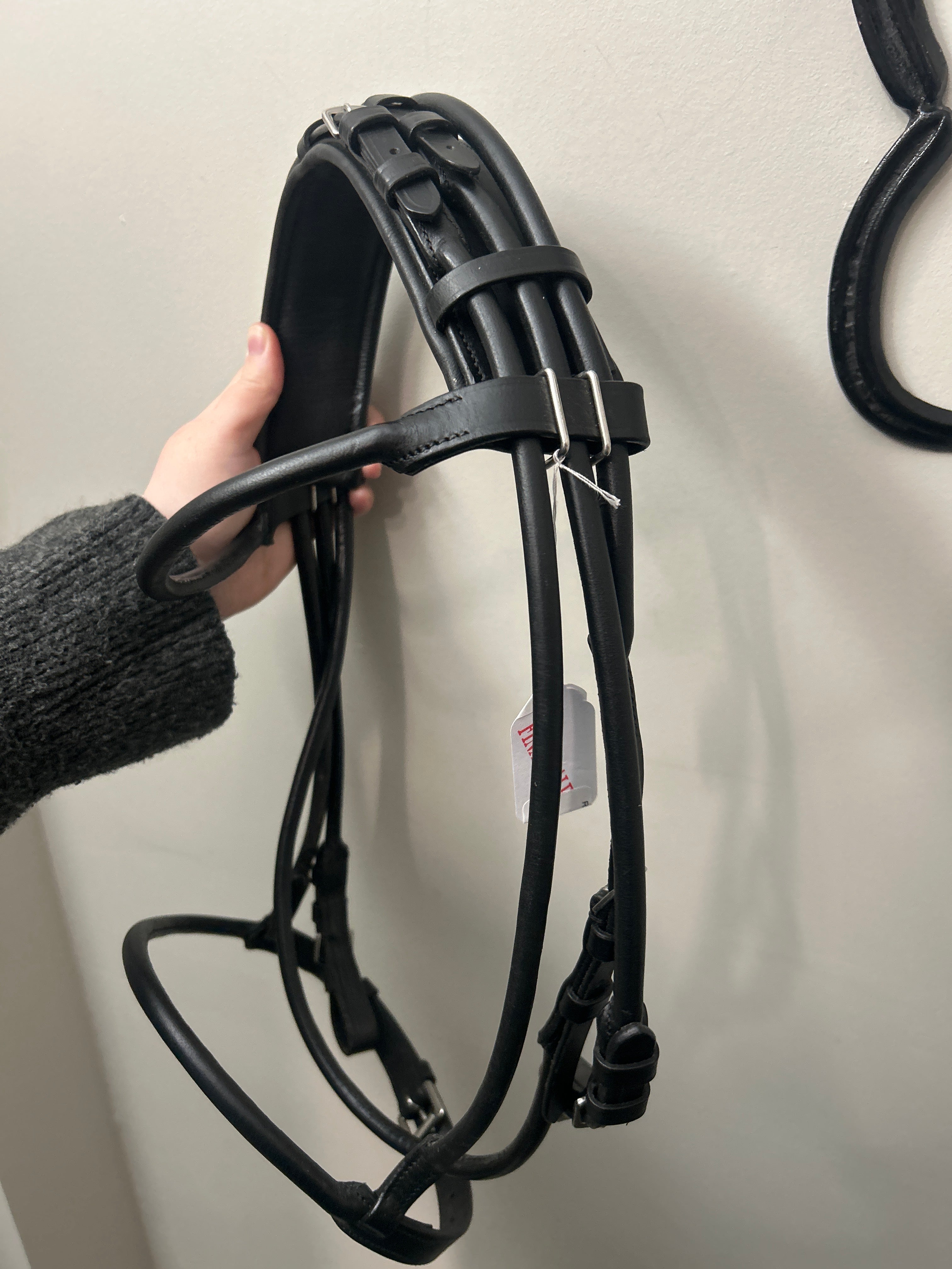 Rolled Leather Dressage Bridle-Bridle-Consignment-Evolution Equestrian Co.