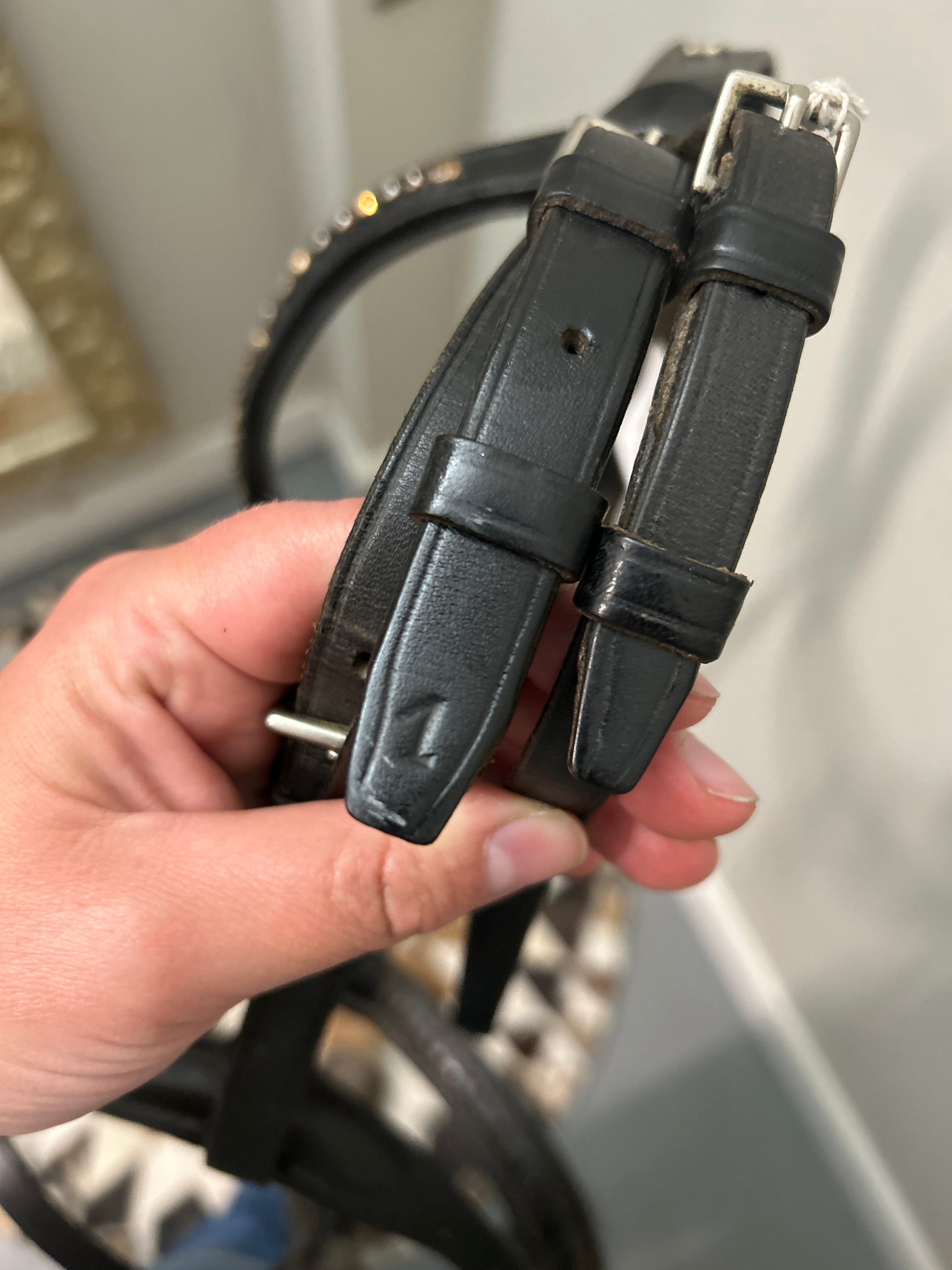 Sattlerei Otto Schumacher Dressage Bridle Cob-English Tack-Consignment-Evolution Equestrian Co.