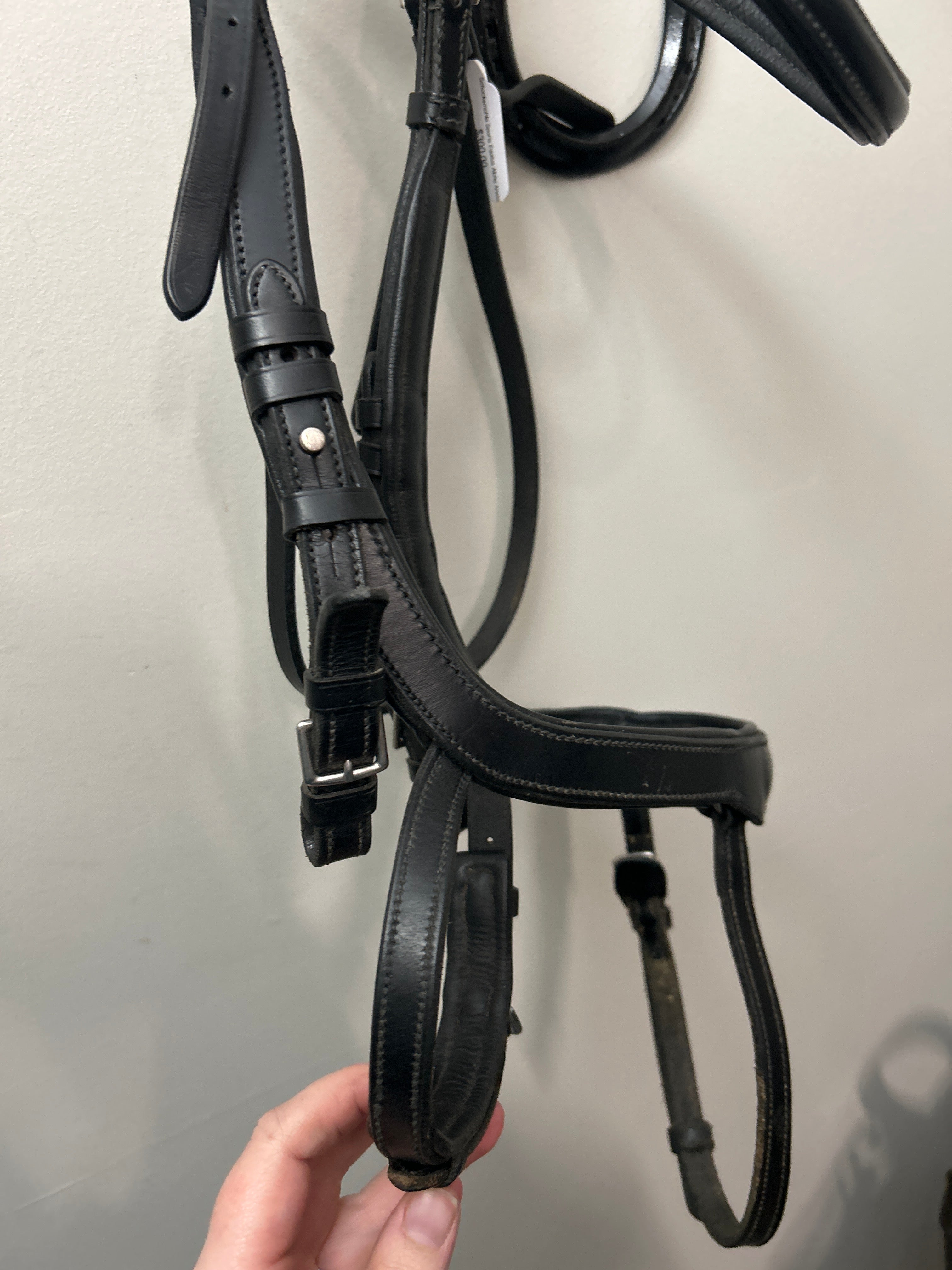 Schockemohle Sports Equitus Alpha Anatomic Bridle-Bridle-Consignment-Evolution Equestrian Co.