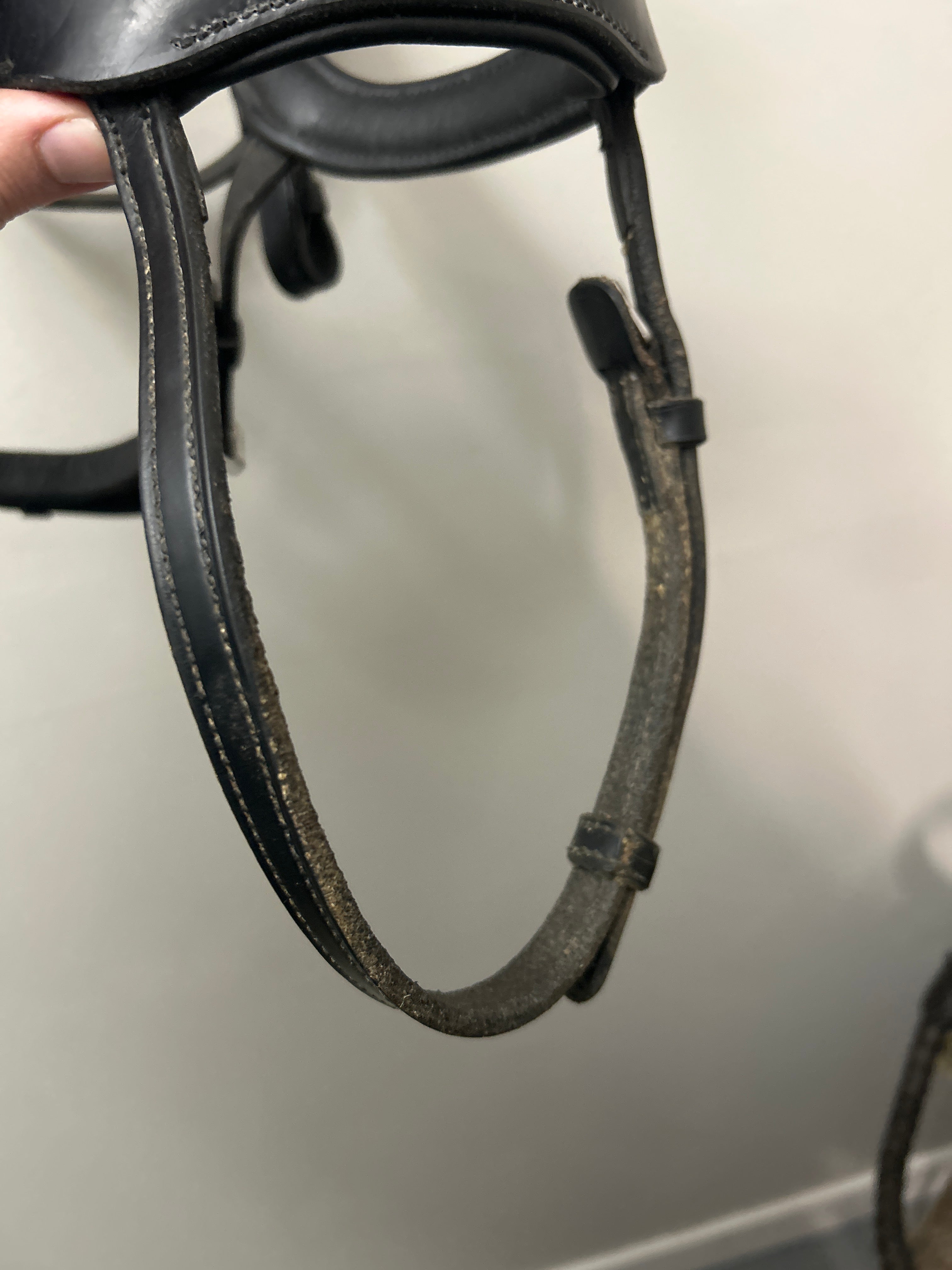 Schockemohle Sports Equitus Alpha Anatomic Bridle-Bridle-Consignment-Evolution Equestrian Co.