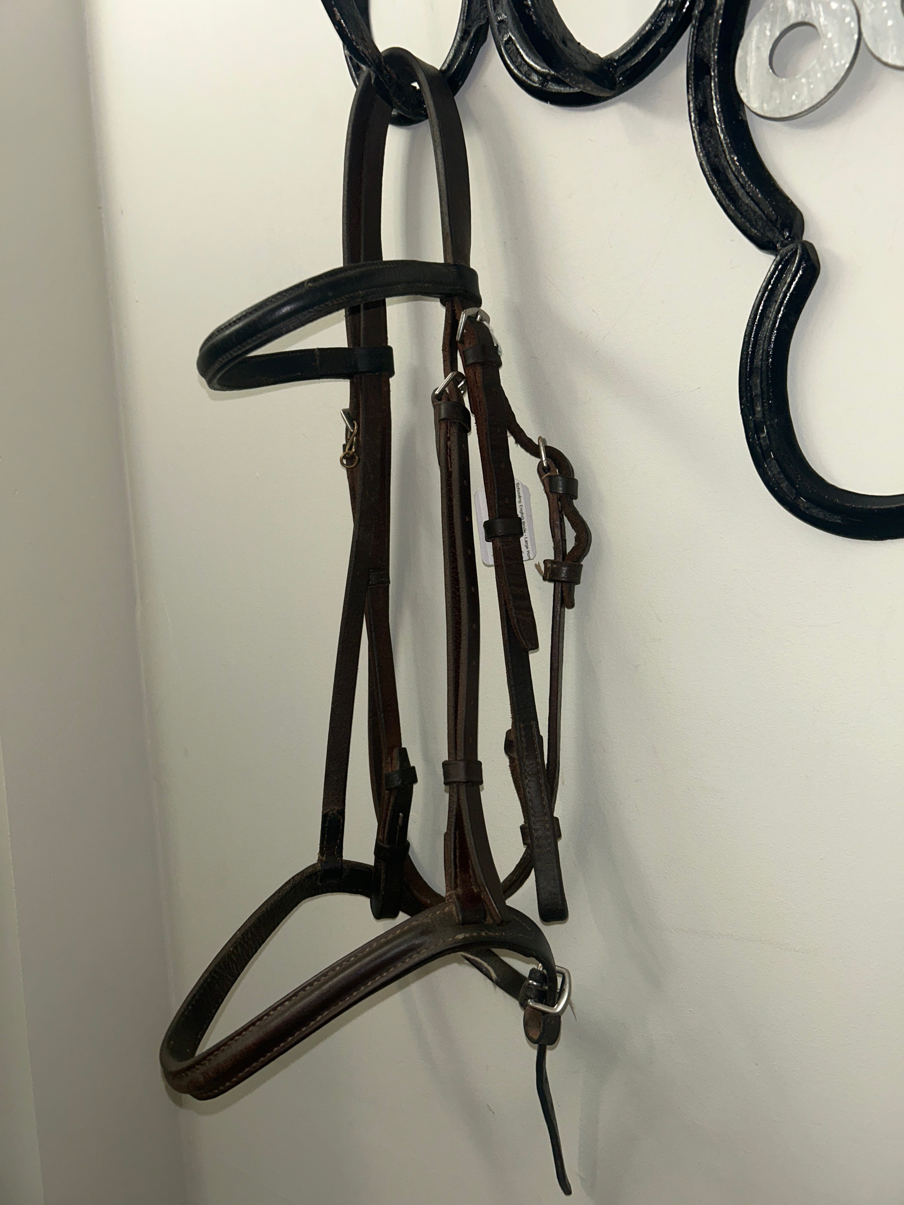 Schooling English Bridle - Large Horse-Bridle-Consignment-Evolution Equestrian Co.