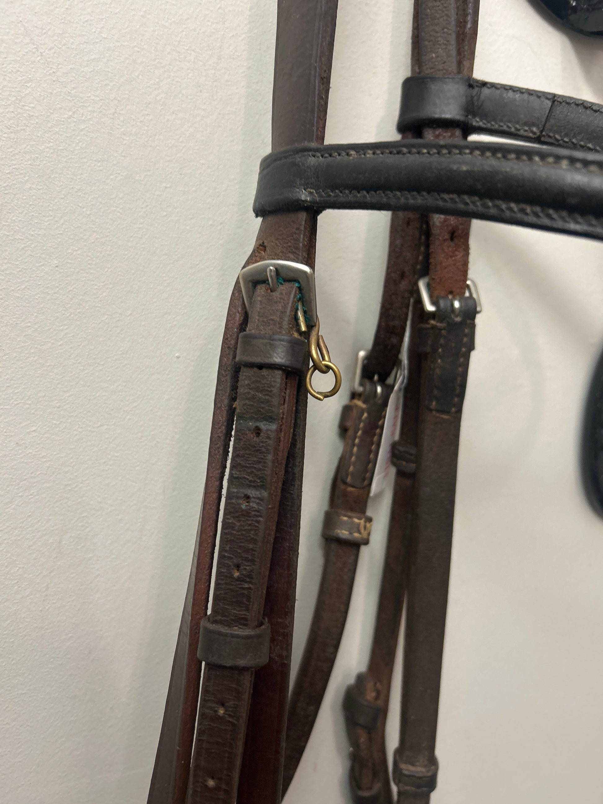 Schooling English Bridle - Large Horse-Bridle-Consignment-Evolution Equestrian Co.