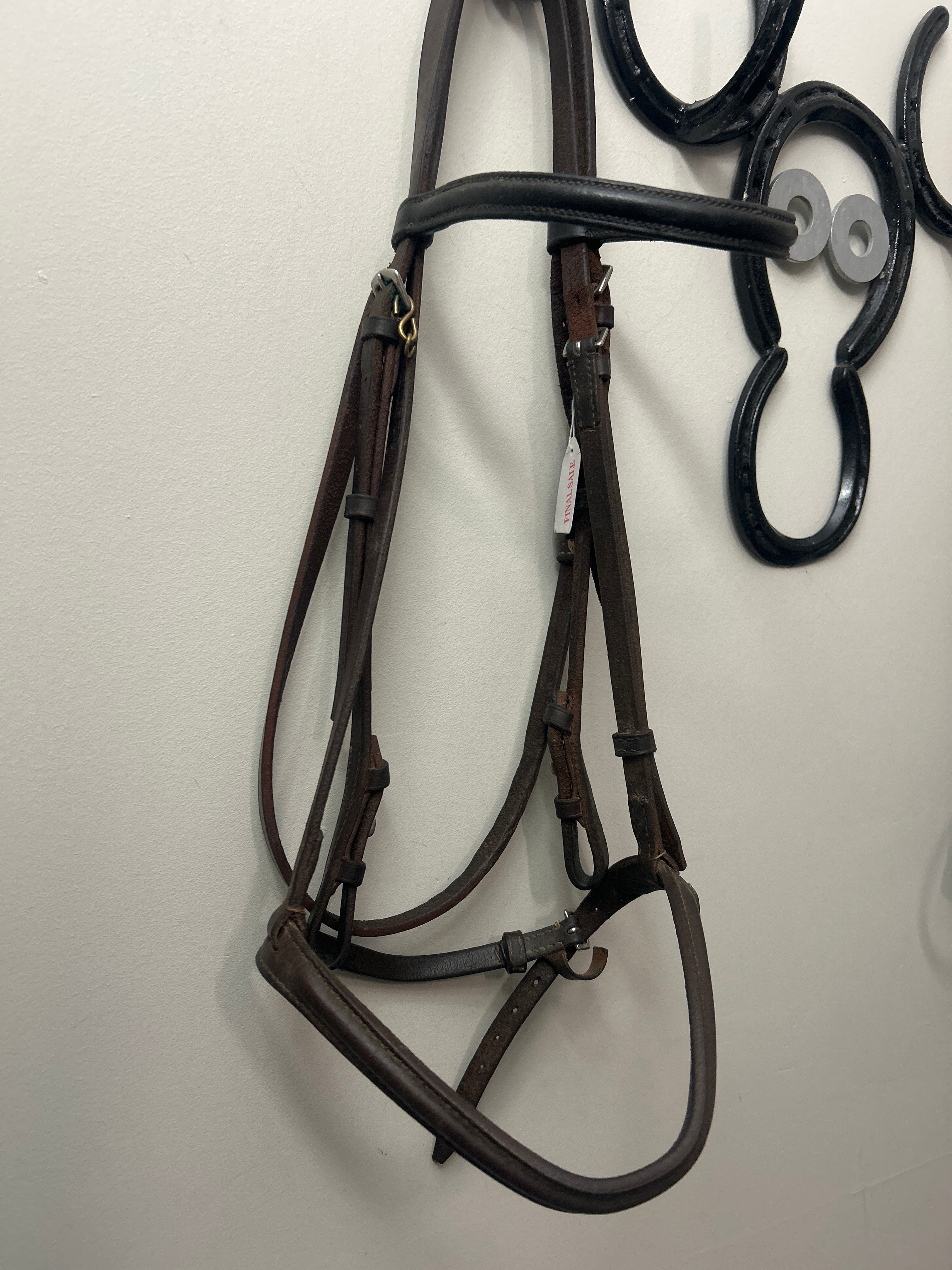 Schooling English Bridle - Large Horse-Bridle-Consignment-Evolution Equestrian Co.