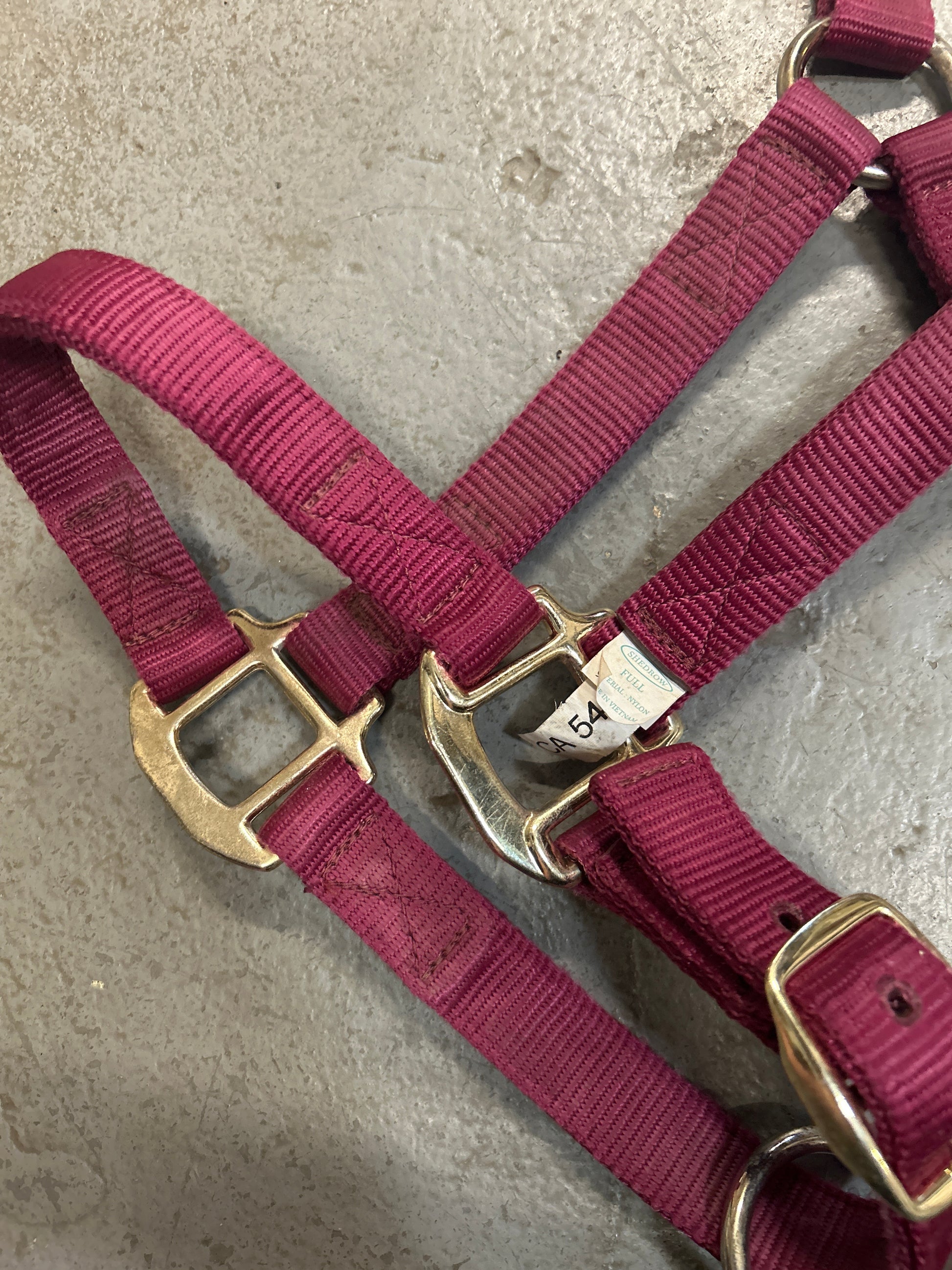 Shedrow Deluxe Nylon Halter Burgundy Full-Halter-Consignment-Evolution Equestrian Co.