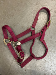 Shedrow Deluxe Nylon Halter Burgundy Full-Halter-Consignment-Evolution Equestrian Co.