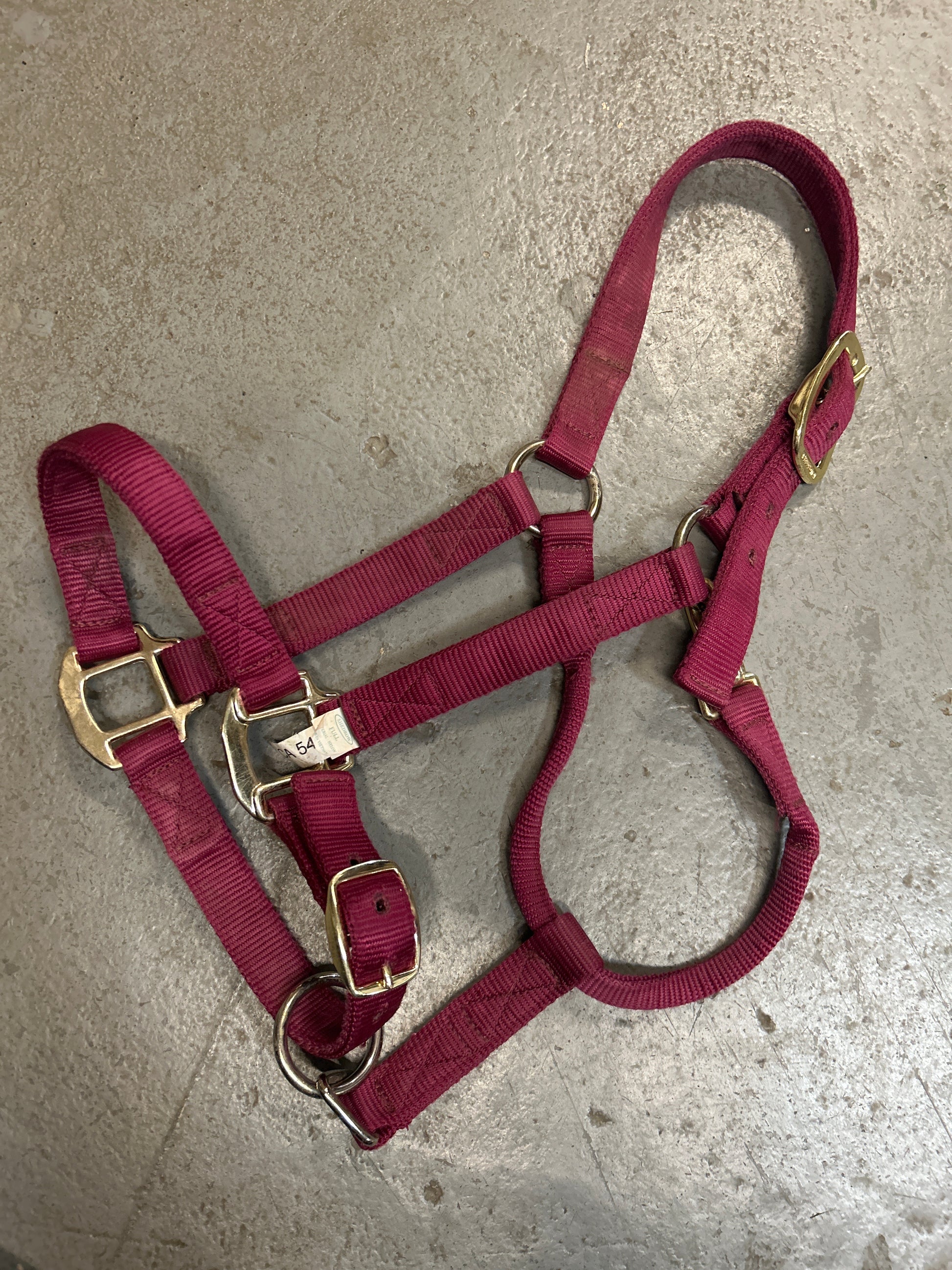 Shedrow Deluxe Nylon Halter Burgundy Full-Halter-Consignment-Evolution Equestrian Co.