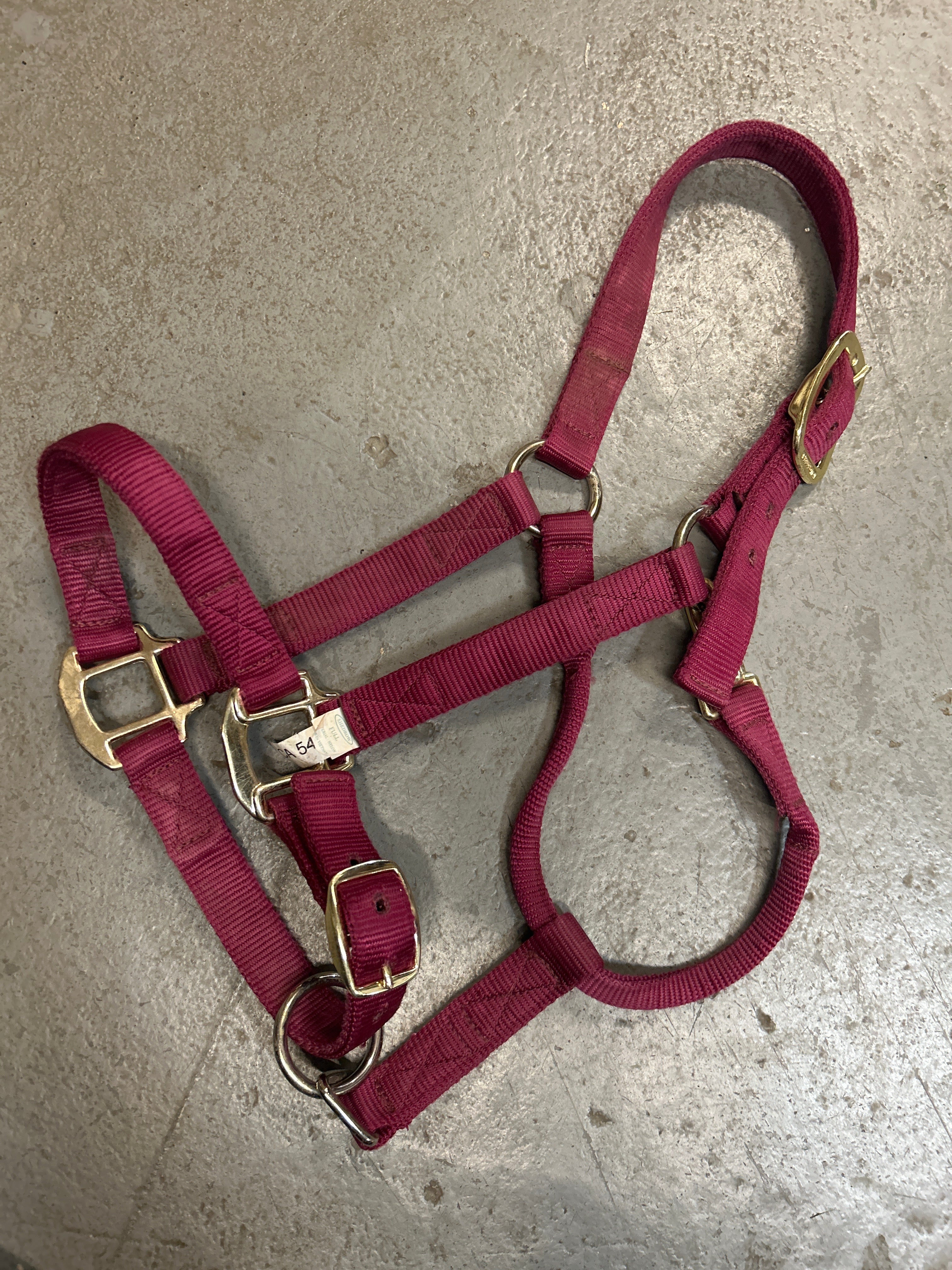 Shedrow Deluxe Nylon Halter Burgundy Full-Halter-Consignment-Evolution Equestrian Co.