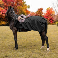 Load image into Gallery viewer, Shedrow Waterproof Exercise Sheet 75&quot;-Horse Blanket-Consignment-Evolution Equestrian Co.
