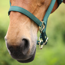 Load image into Gallery viewer, Shires ARMA Adjustable Nylon Halter-Halter-Pegasus-Pony-Black-Evolution Equestrian Co.
