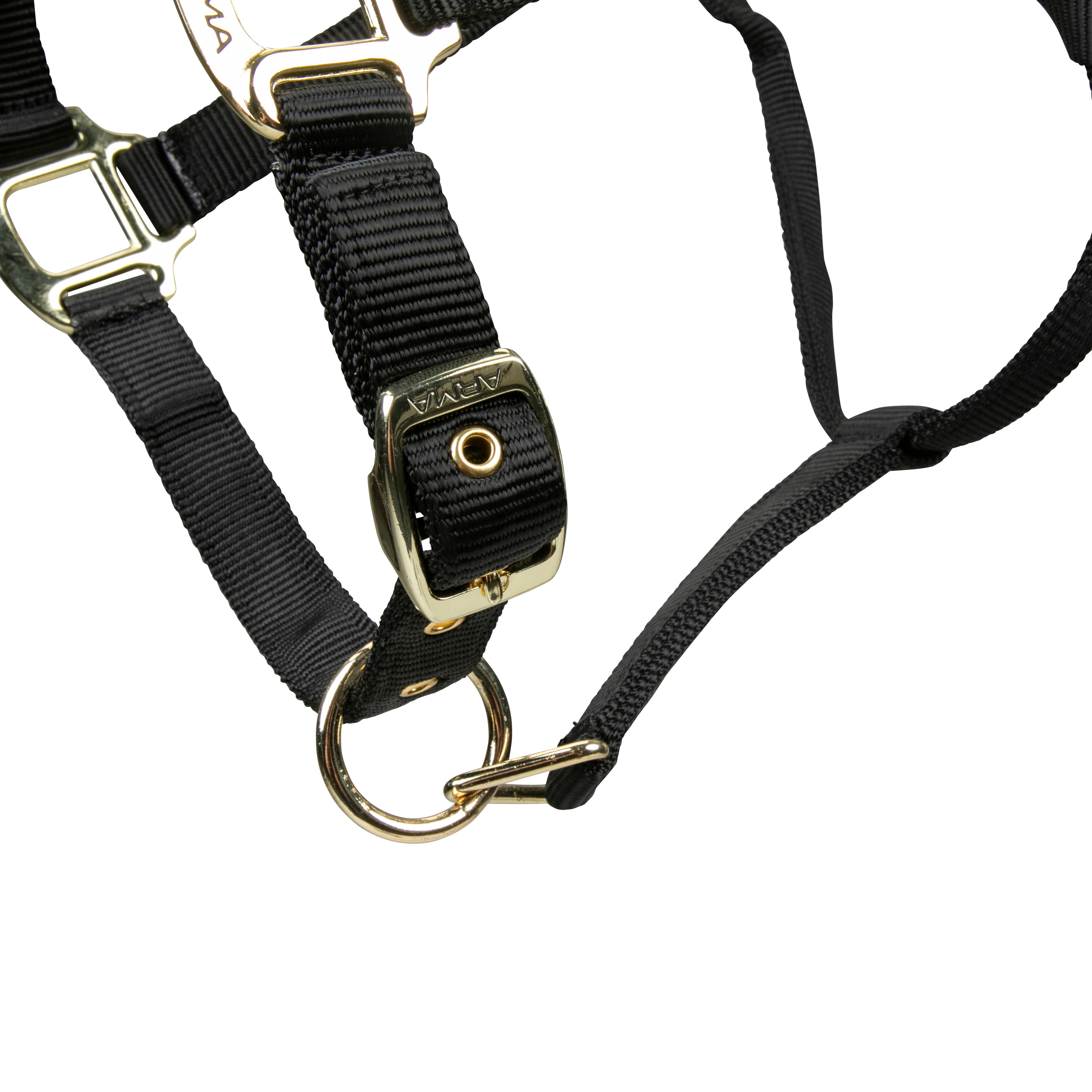 Shires ARMA Adjustable Nylon Halter-Halter-Pegasus-Pony-Black-Evolution Equestrian Co.
