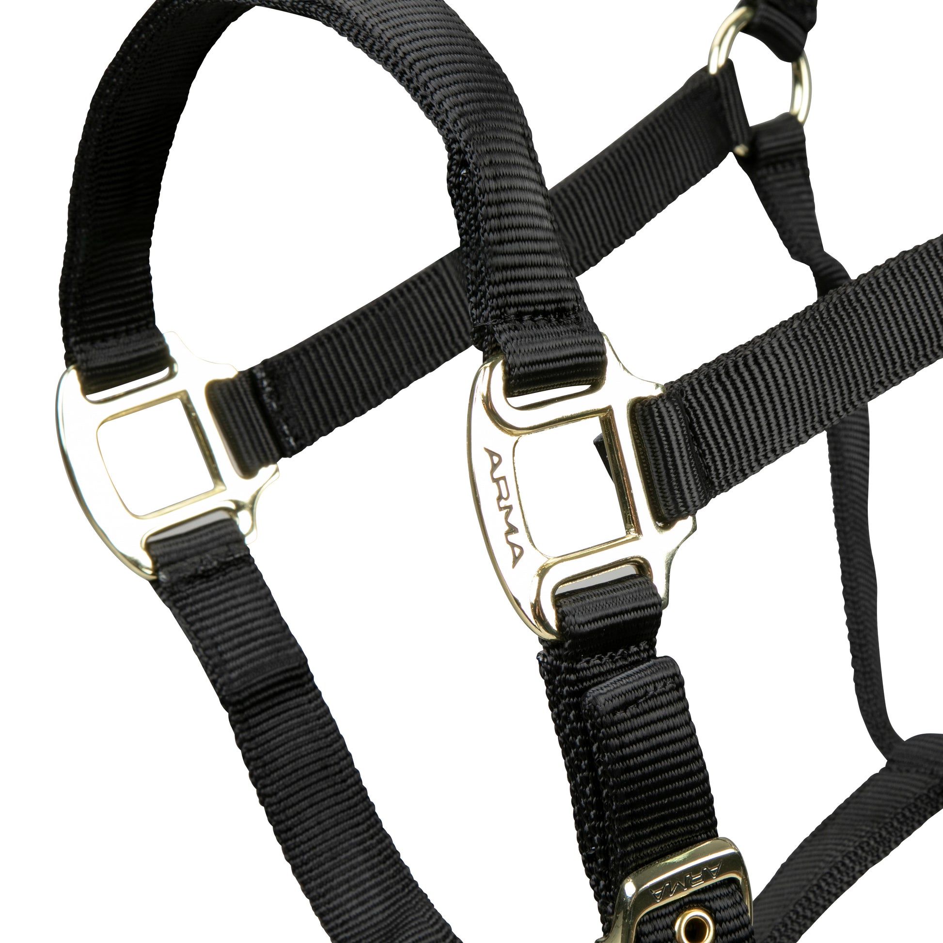 Shires ARMA Adjustable Nylon Halter-Halter-Pegasus-Pony-Black-Evolution Equestrian Co.
