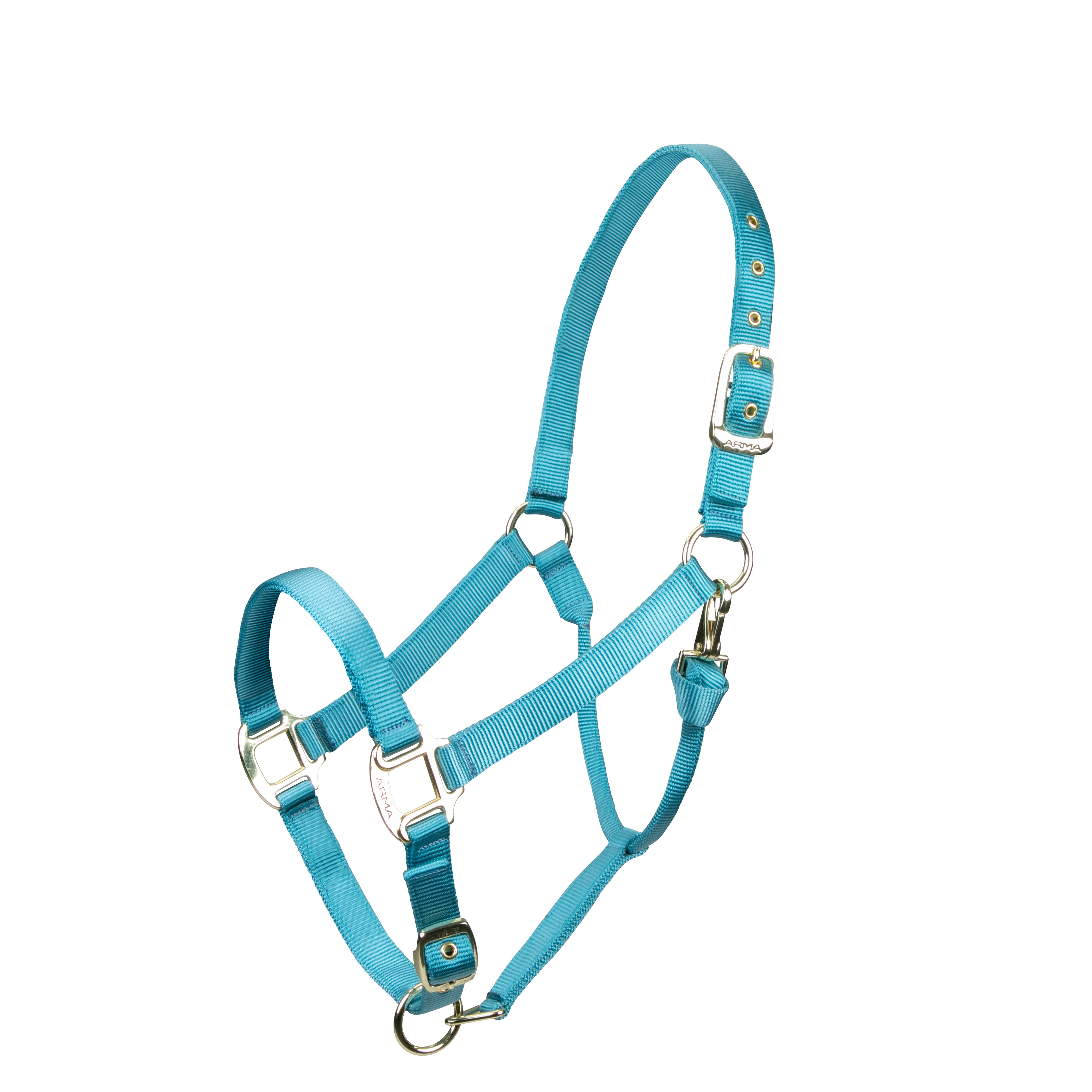 Shires ARMA Adjustable Nylon Halter-Halter-Pegasus-Pony-Teal-Evolution Equestrian Co.