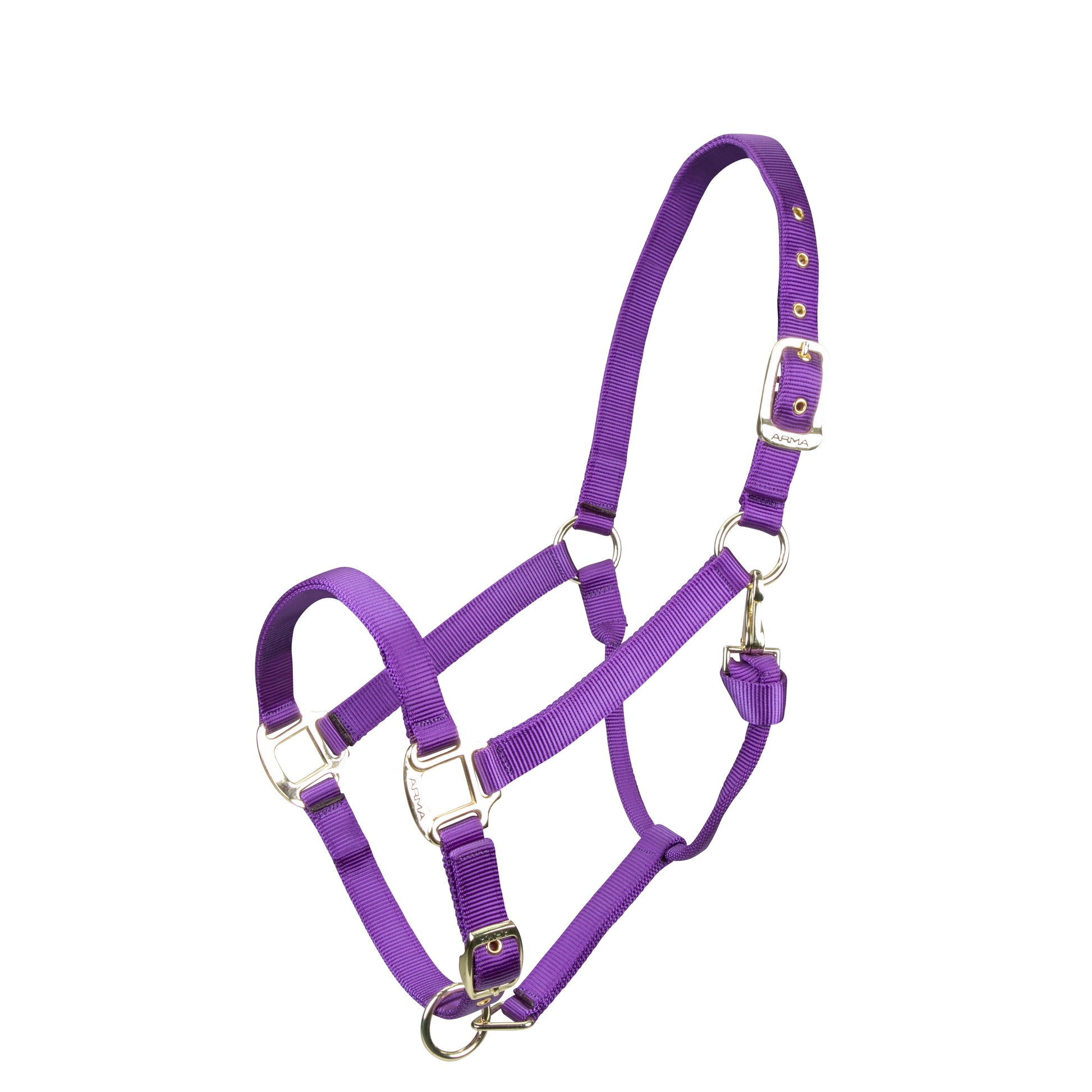 Shires ARMA Adjustable Nylon Halter-Halter-Pegasus-Pony-Purple-Evolution Equestrian Co.