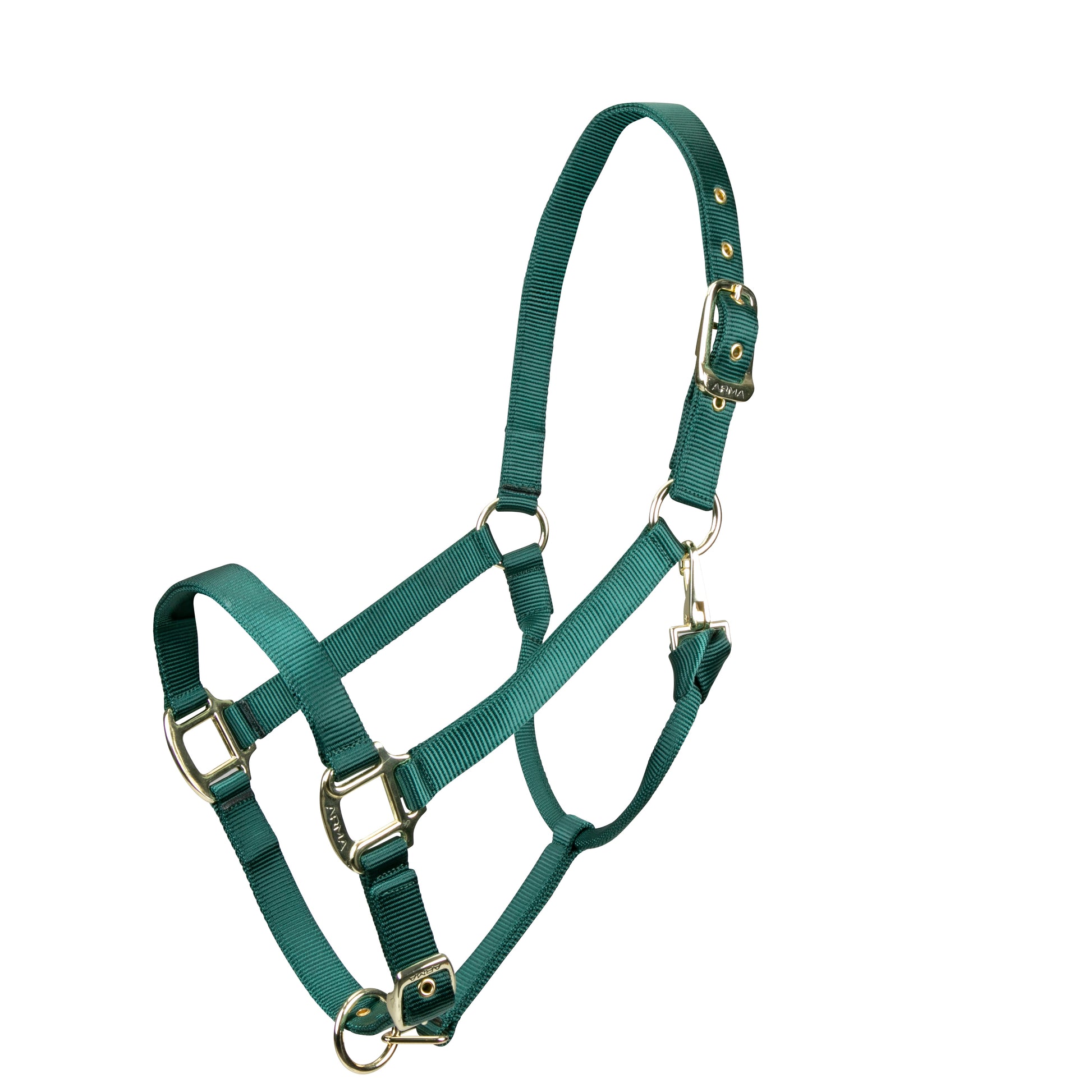 Shires ARMA Adjustable Nylon Halter-Halter-Pegasus-Pony-Hunter Green-Evolution Equestrian Co.